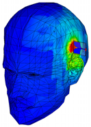 Applsci 15 12275 i001