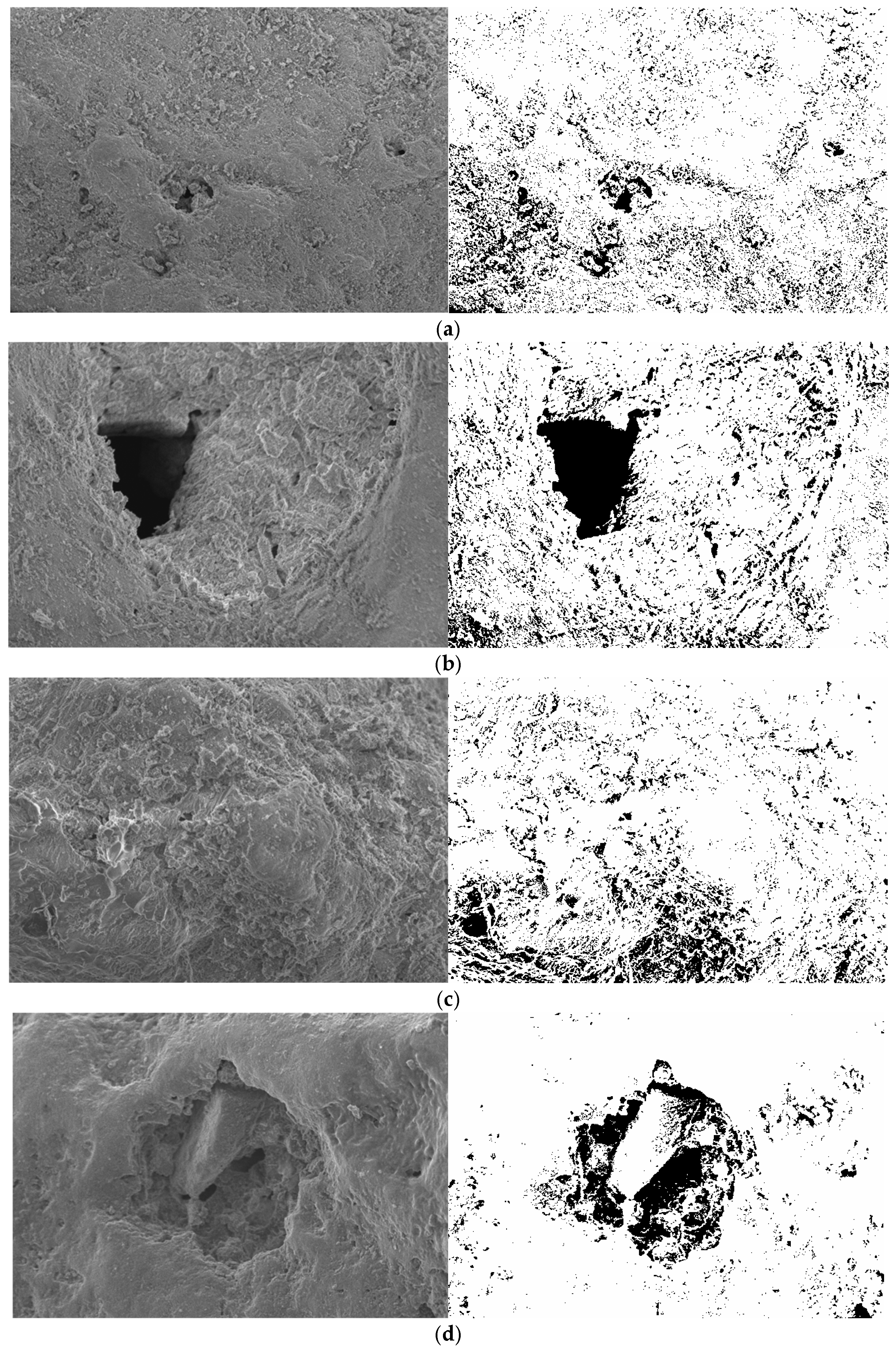 Applsci 15 12301 g012a Applsci 15 12301 g012a