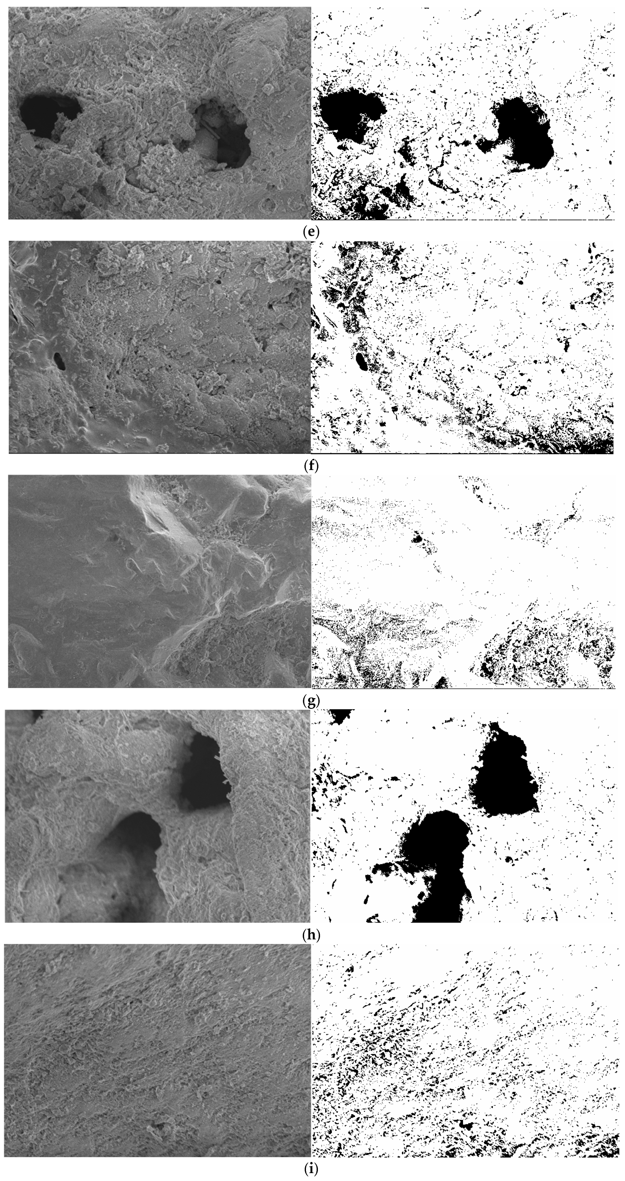 Applsci 15 12301 g012b Applsci 15 12301 g012b