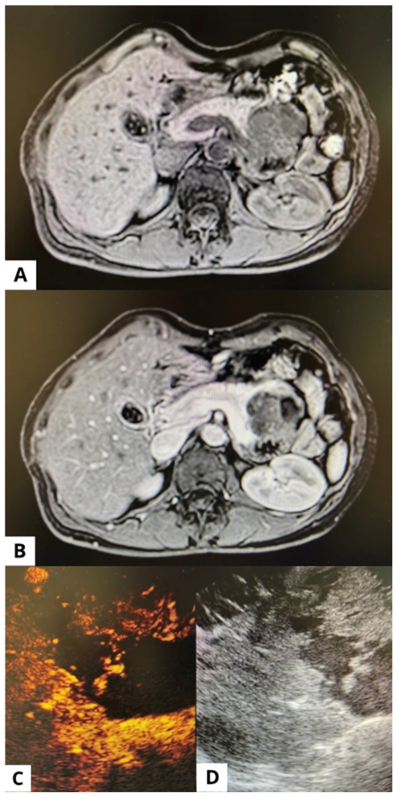 Applsci 15 12313 g001