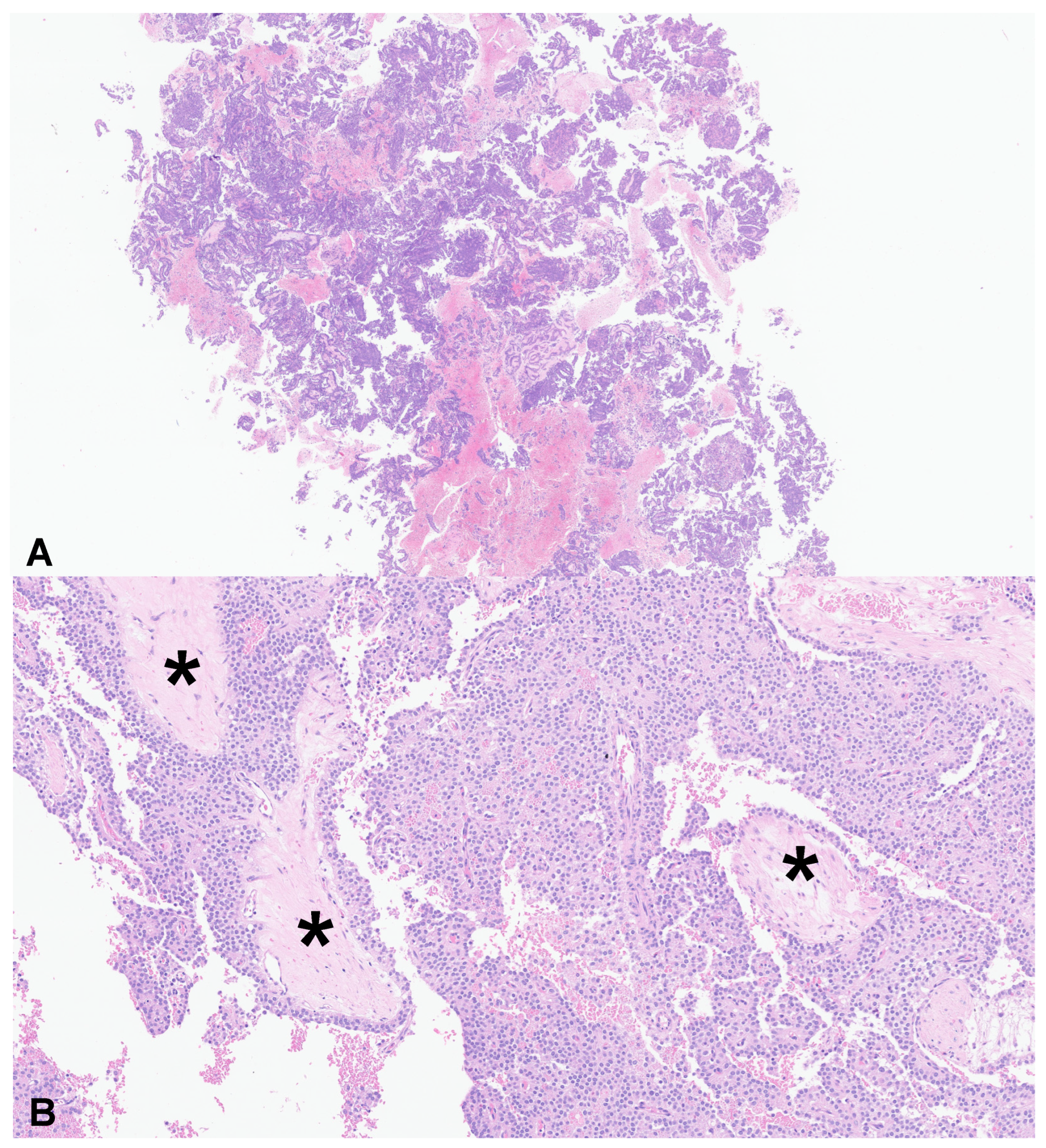 Applsci 15 12313 g002