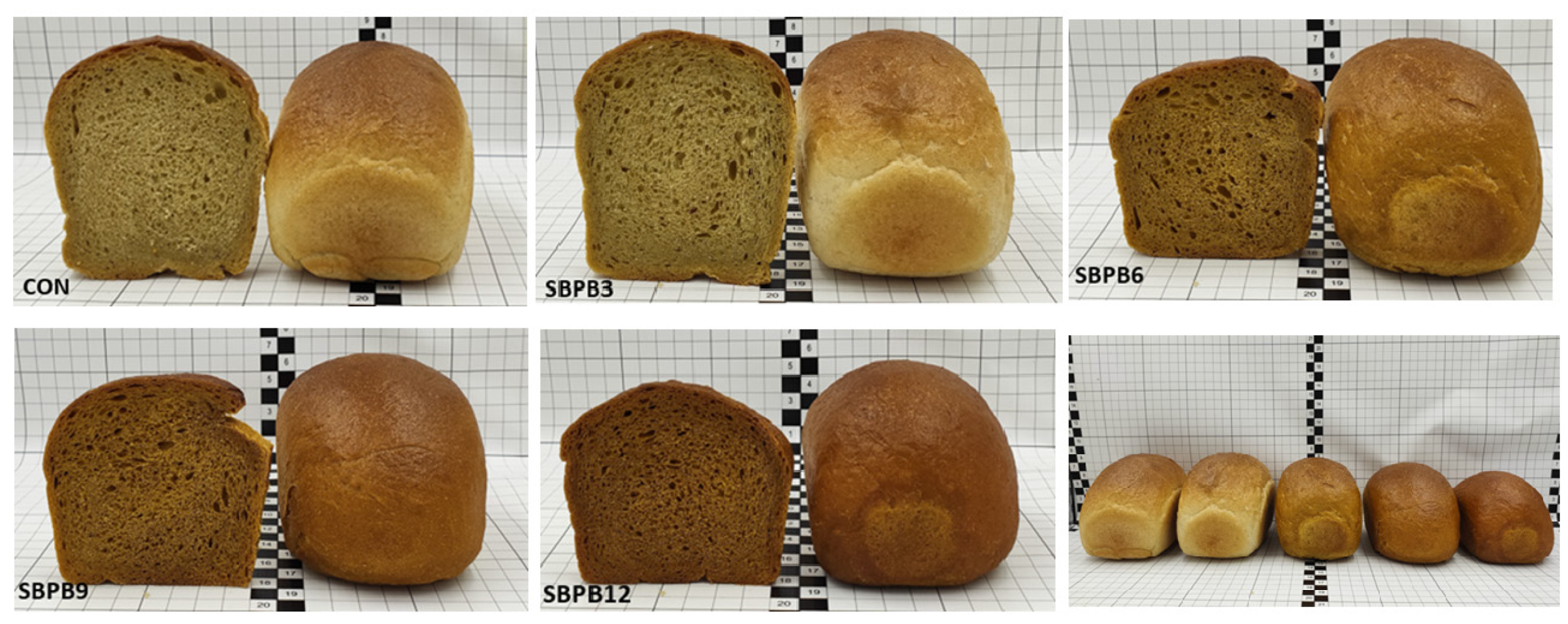 Applsci 15 12319 g004