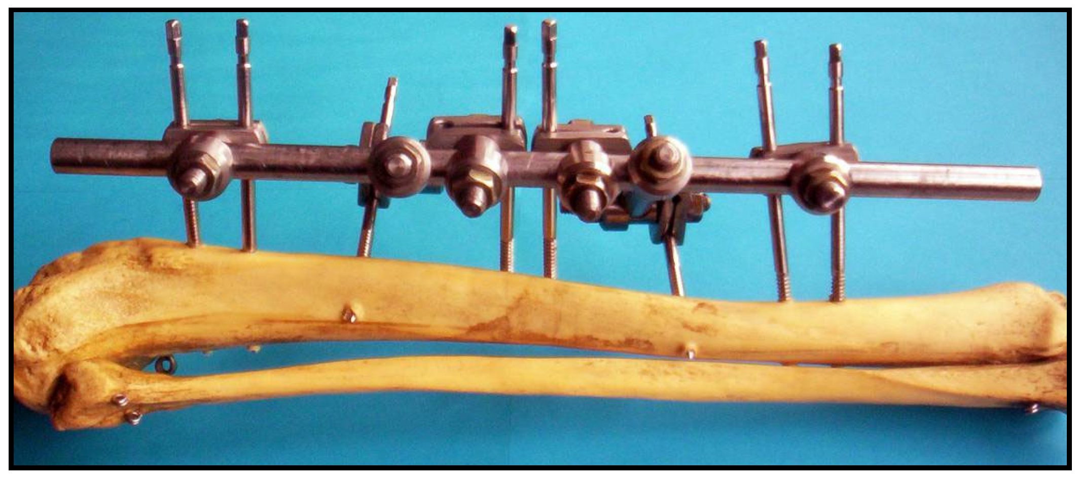 Applsci 15 12327 g006