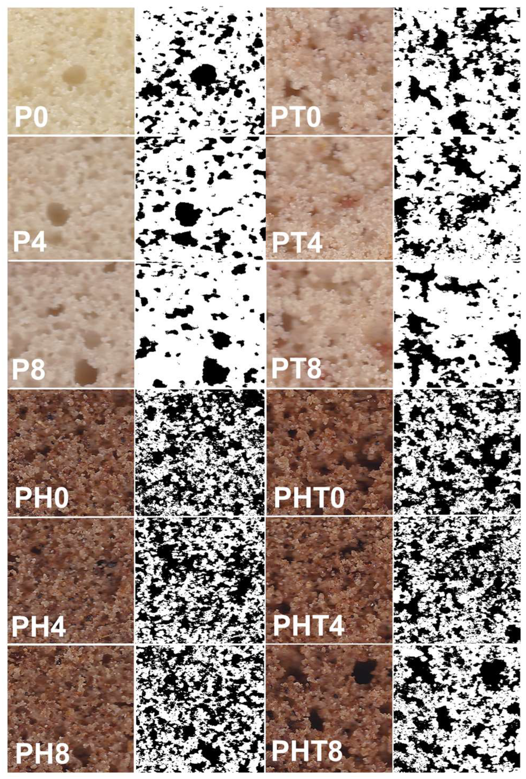 Applsci 15 12362 g001