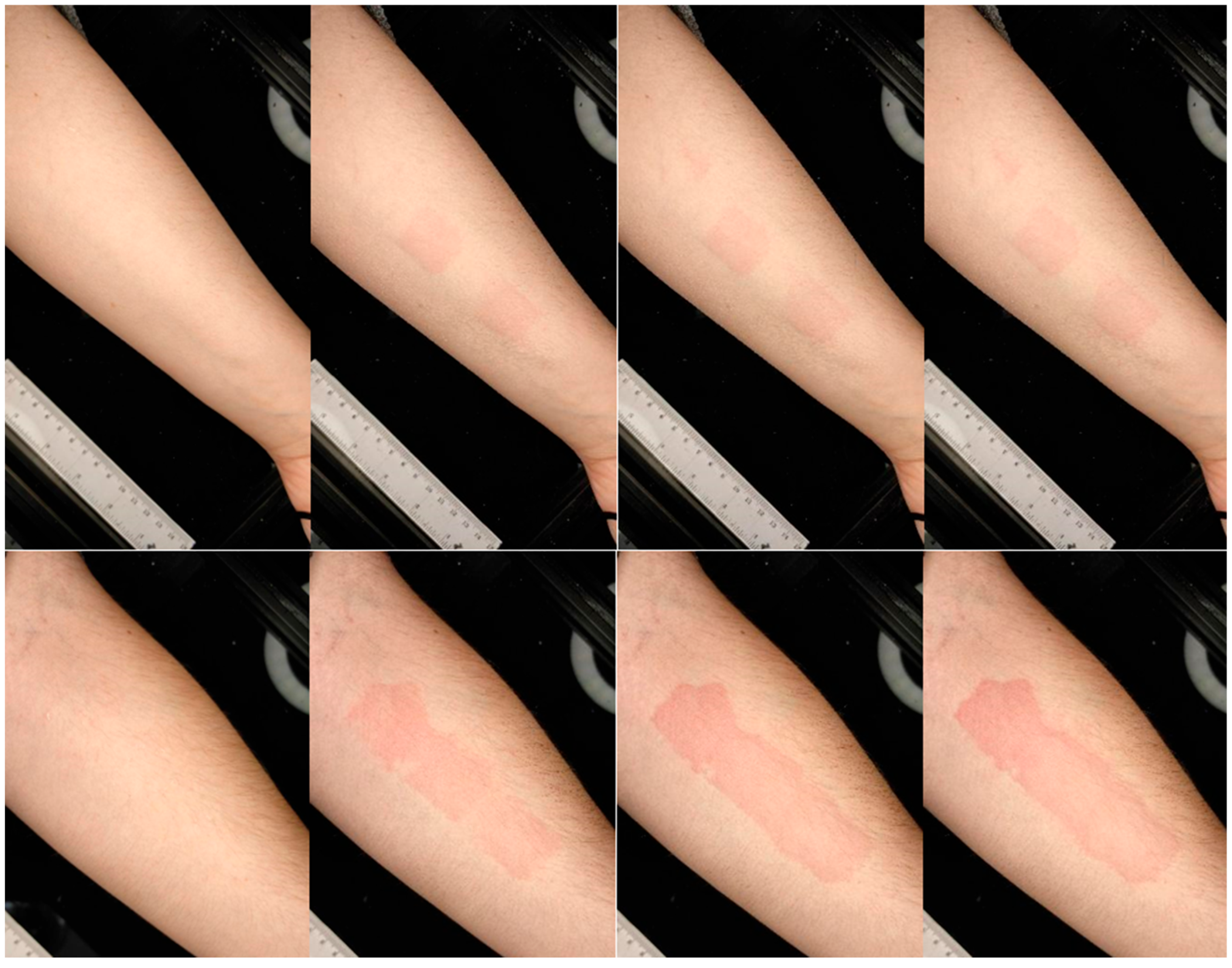 Applsci 15 12368 g001