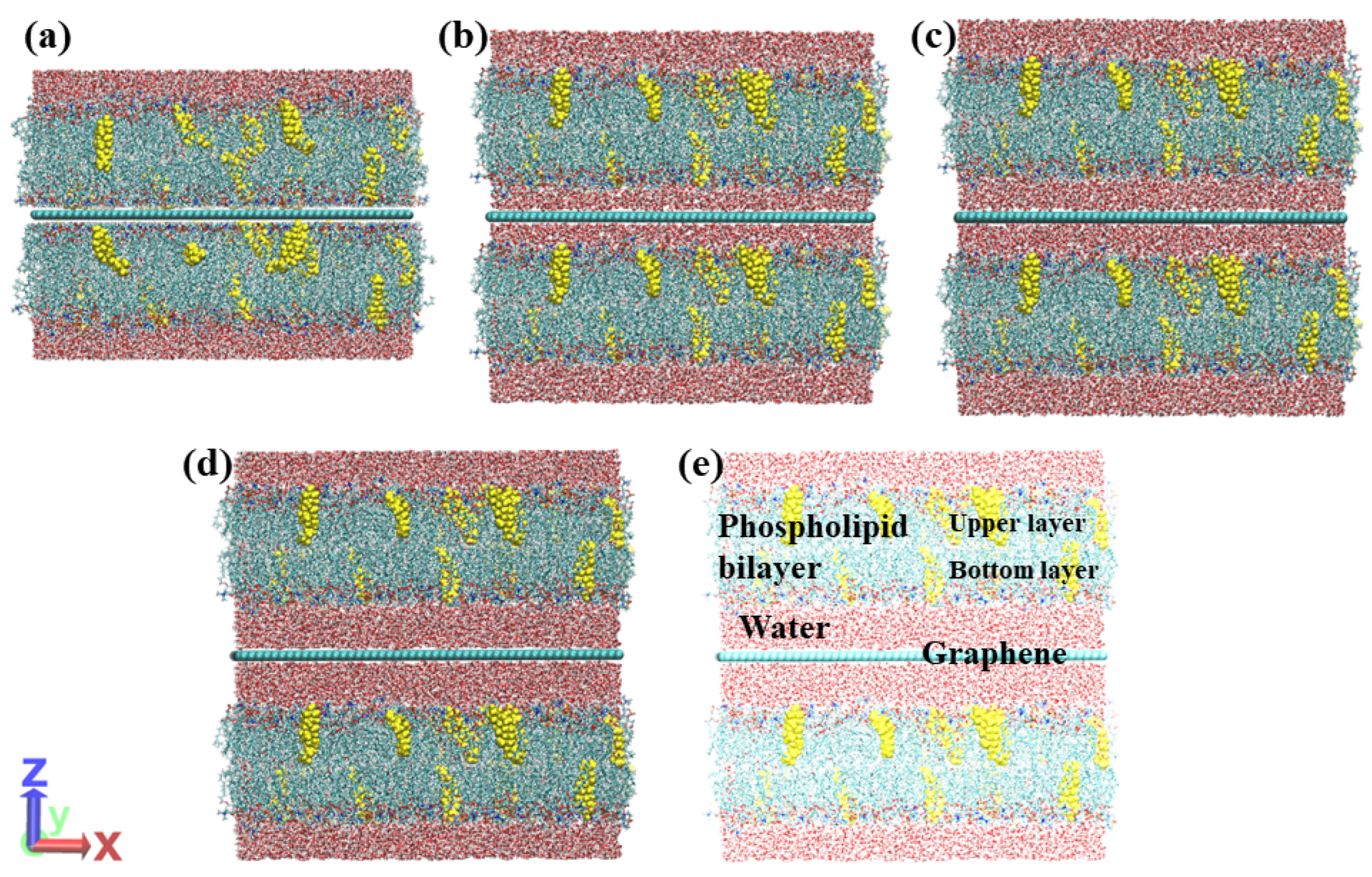 Applsci 15 12369 g001