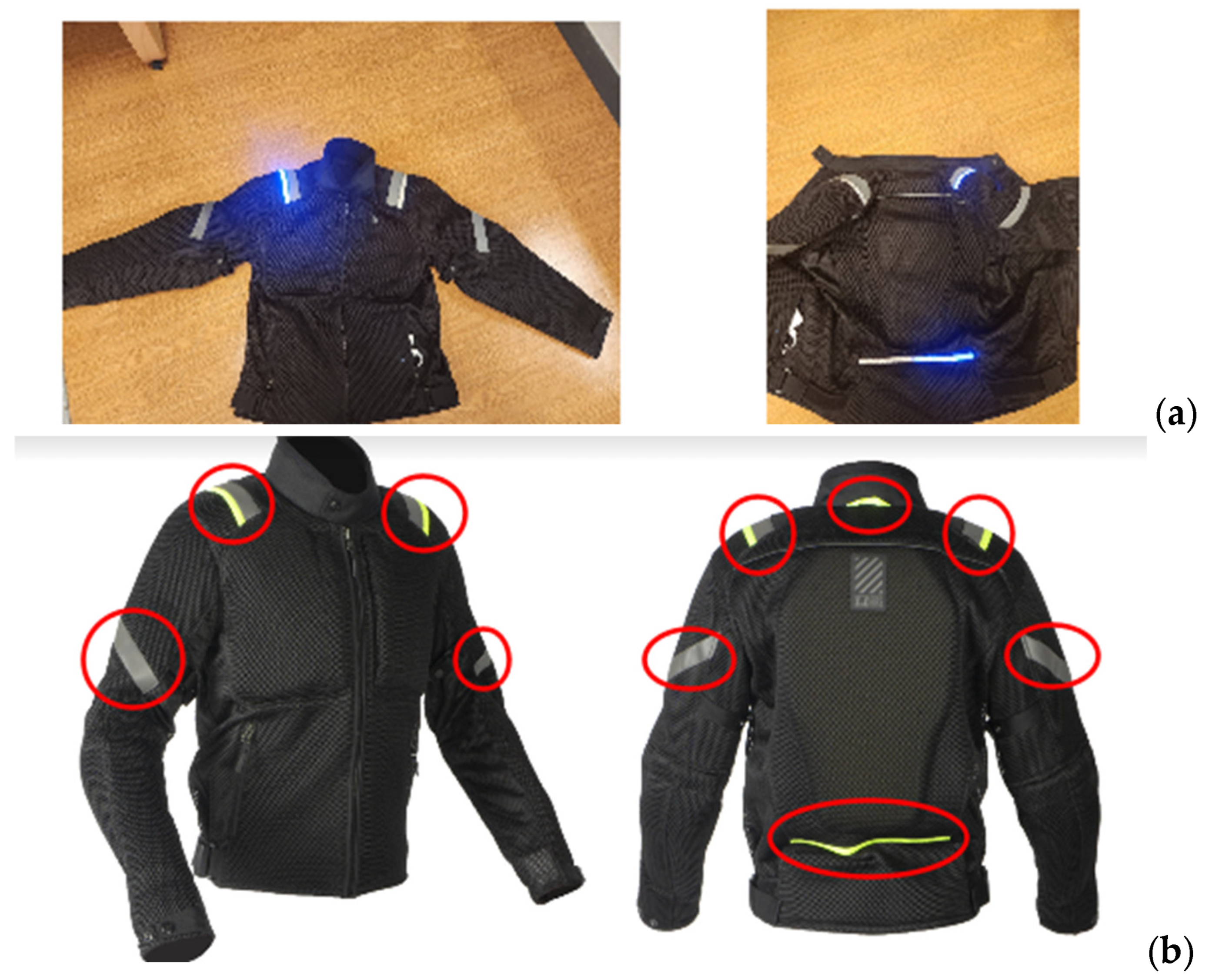 Applsci 15 12375 g001