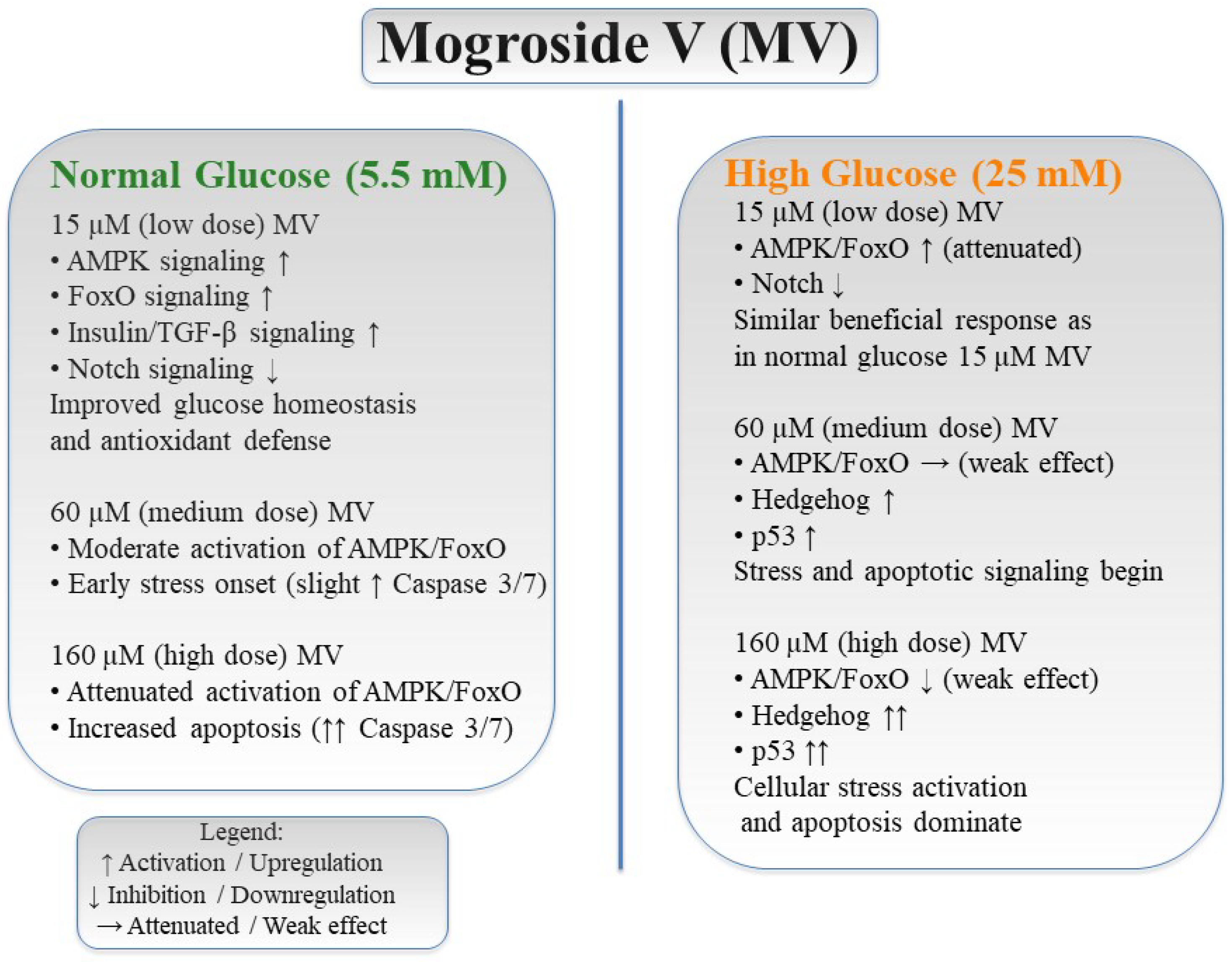 Applsci 15 12391 g006