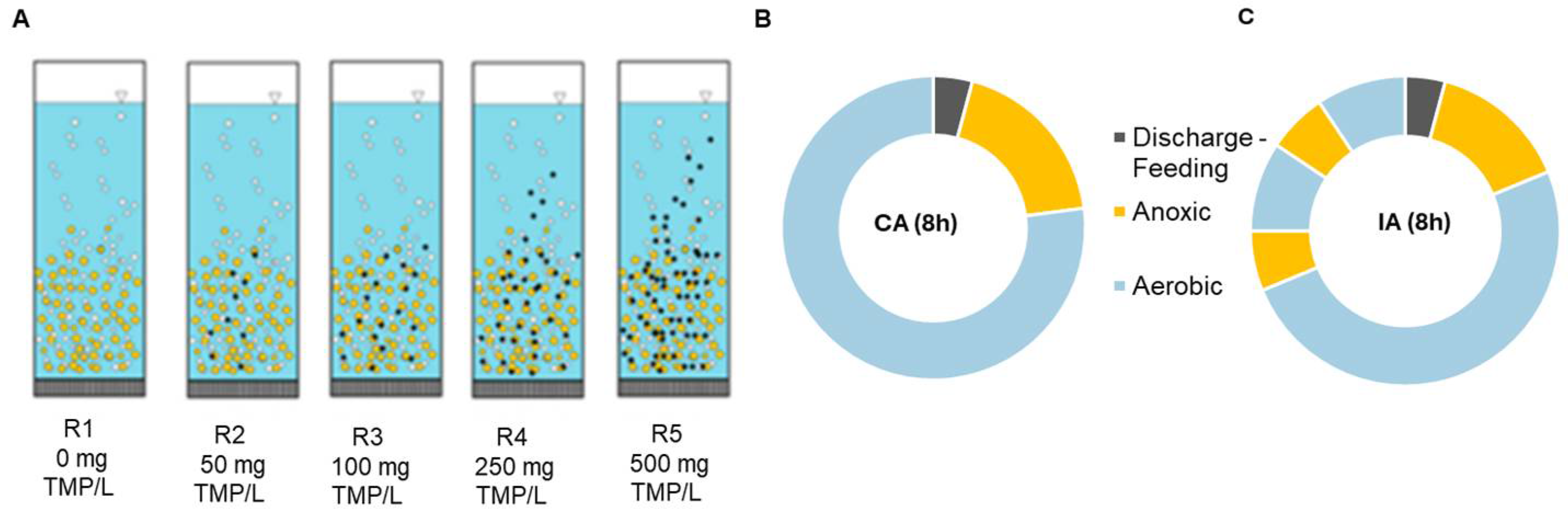 Applsci 15 12410 g001