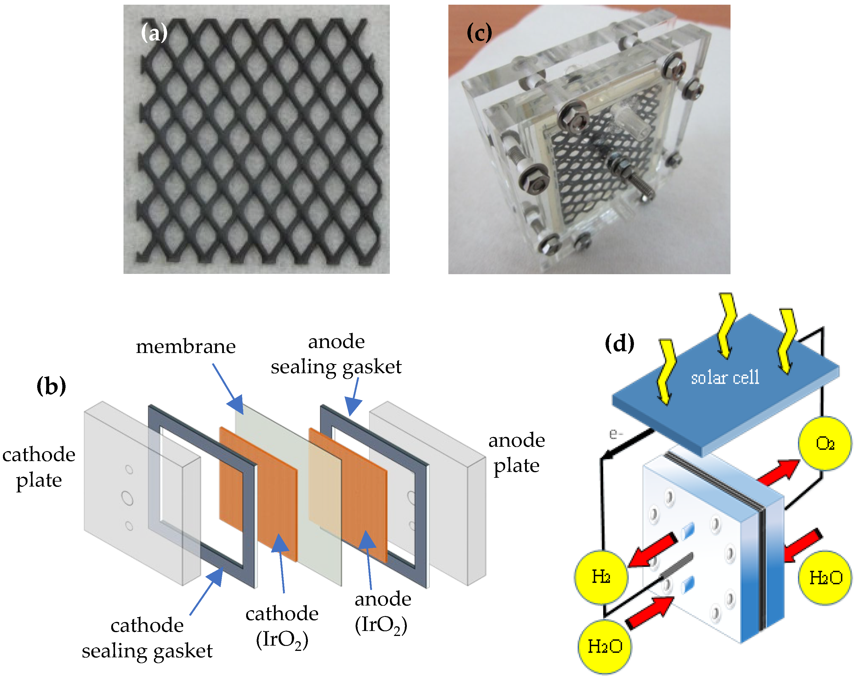 Applsci 15 12411 g001