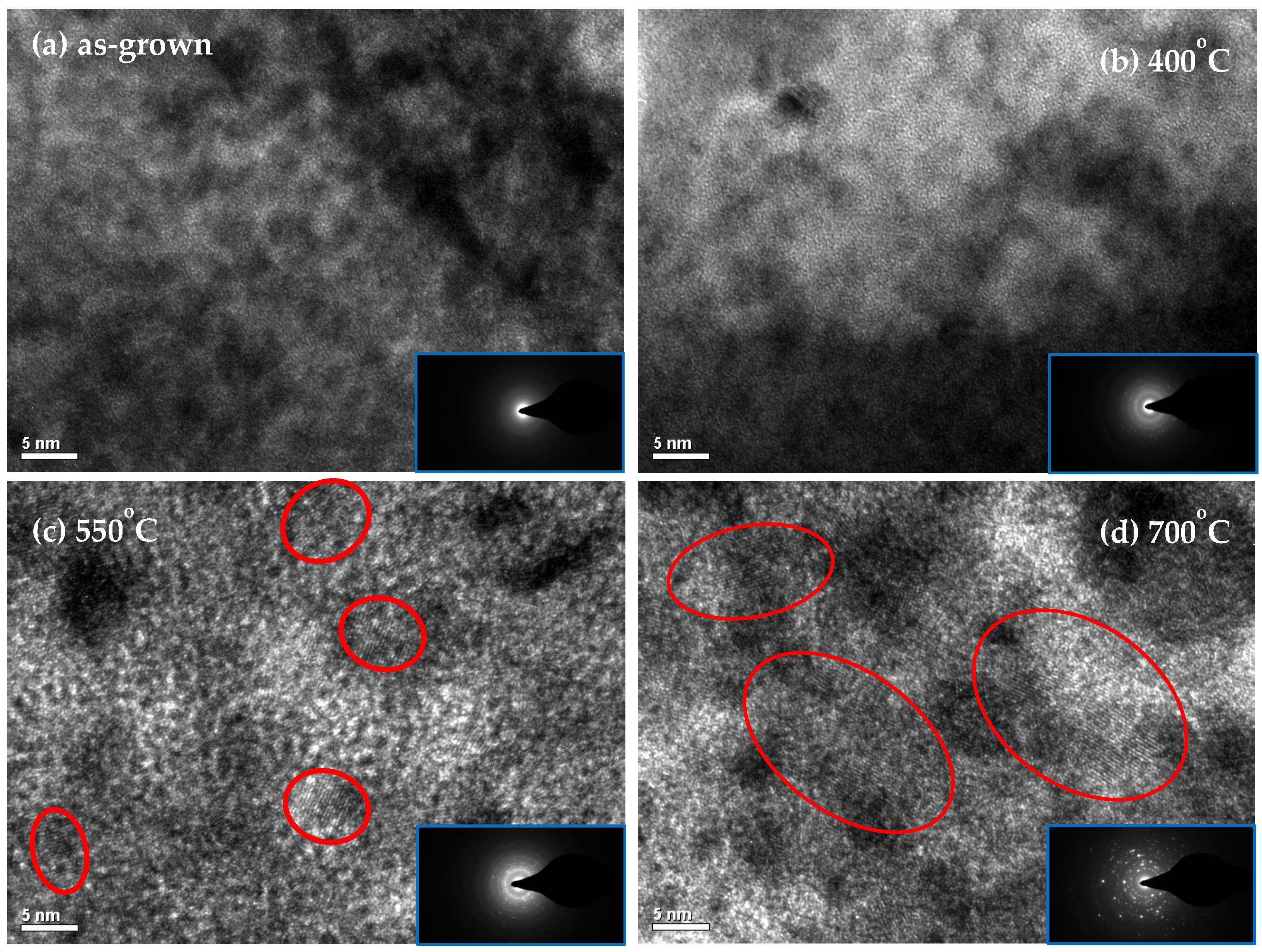 Applsci 15 12411 g002