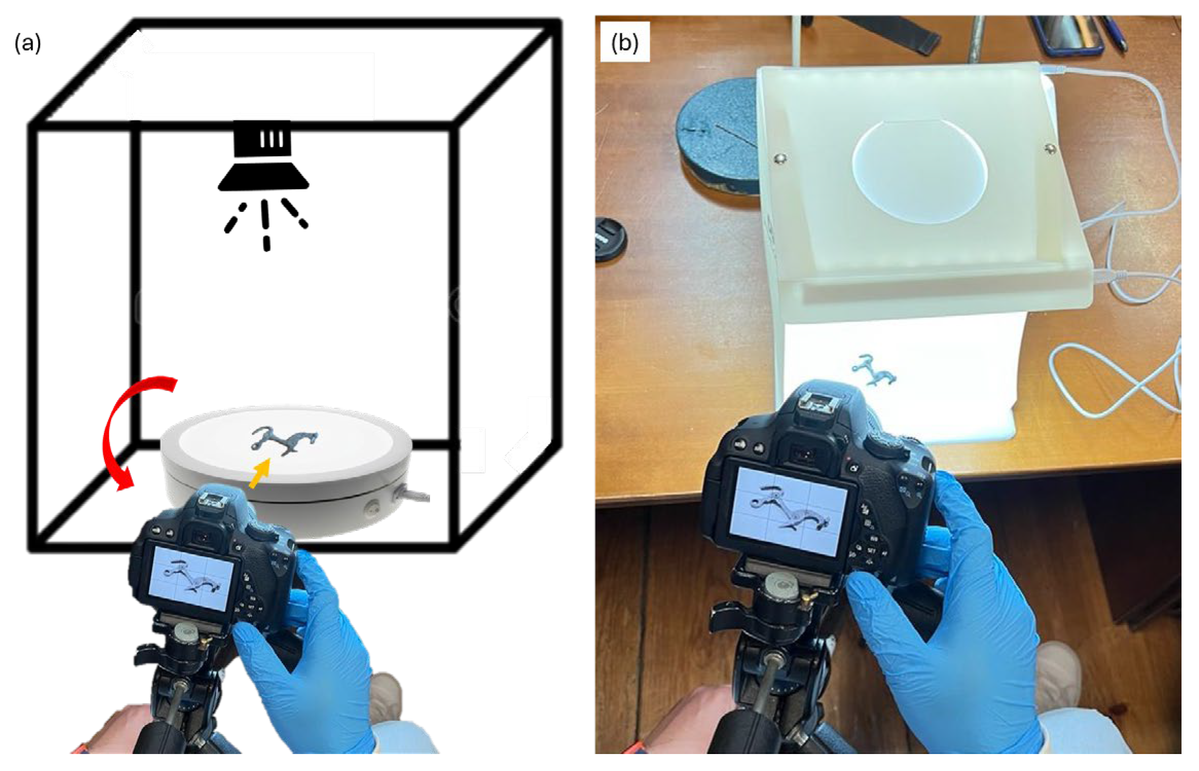 Applsci 15 12425 g005 Applsci 15 12425 g005
