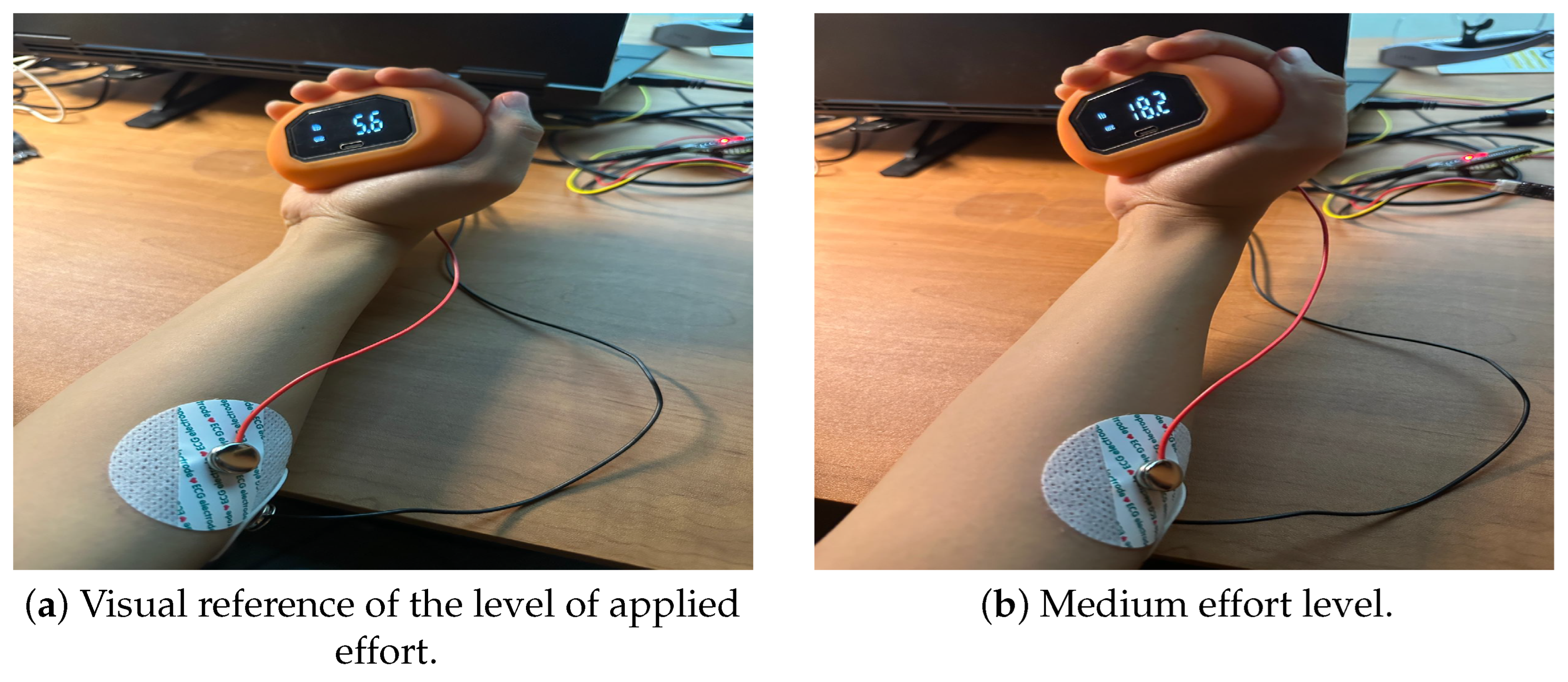 Applsci 15 12434 g013