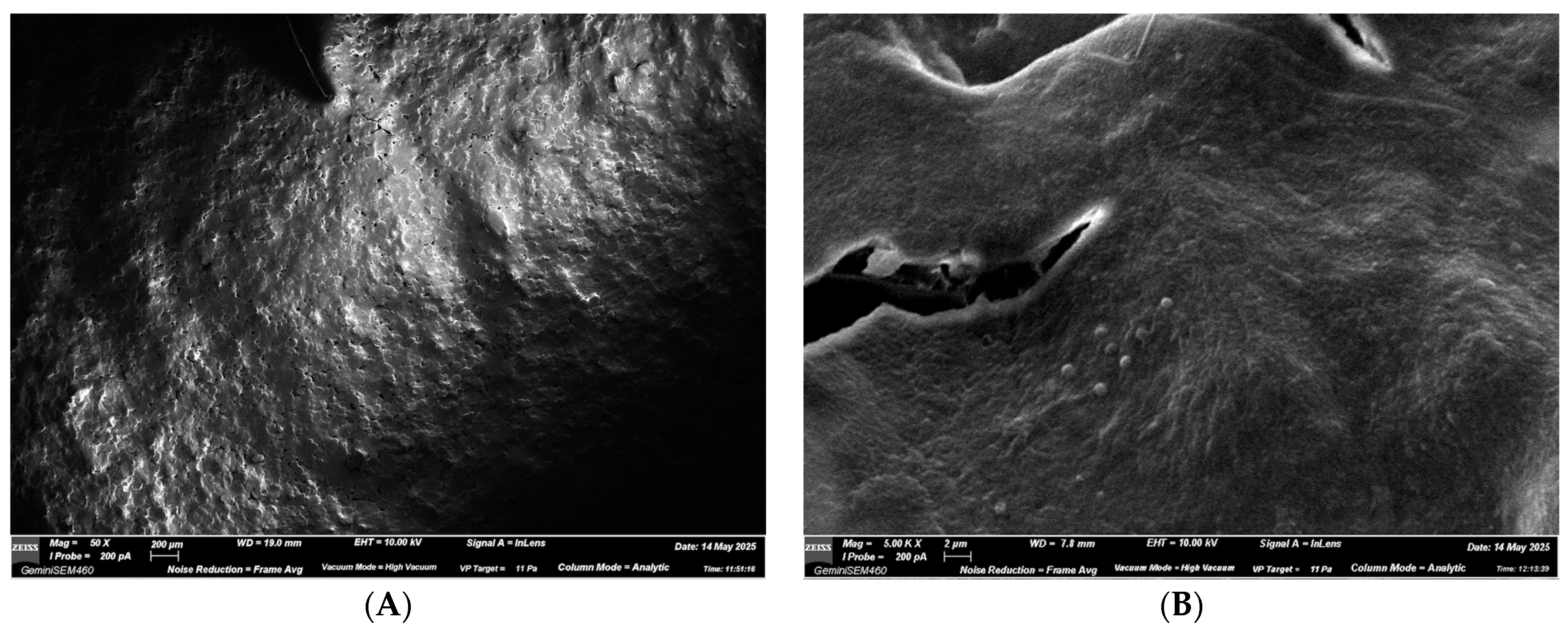 Applsci 15 12435 g004