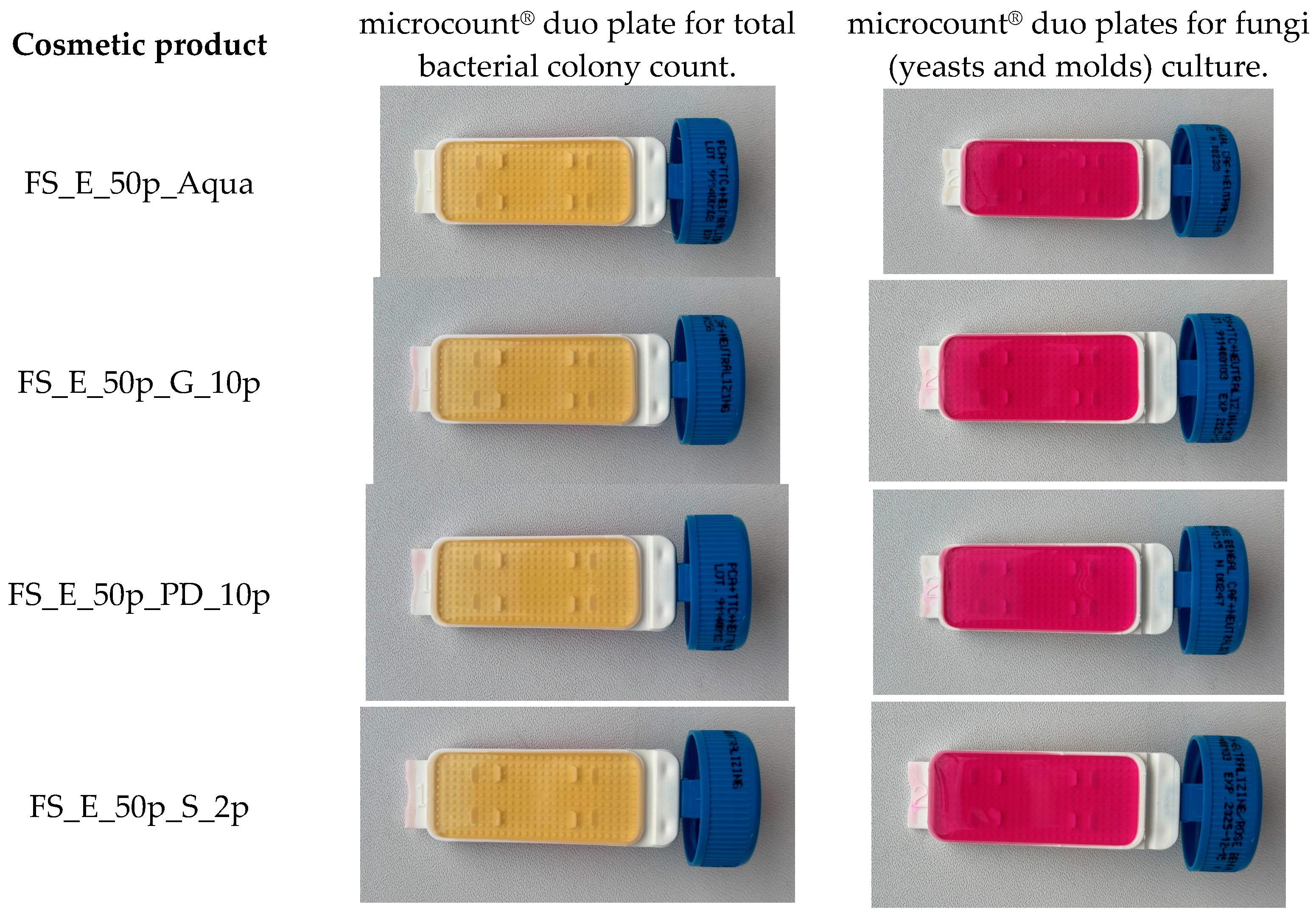 Applsci 15 12444 g004