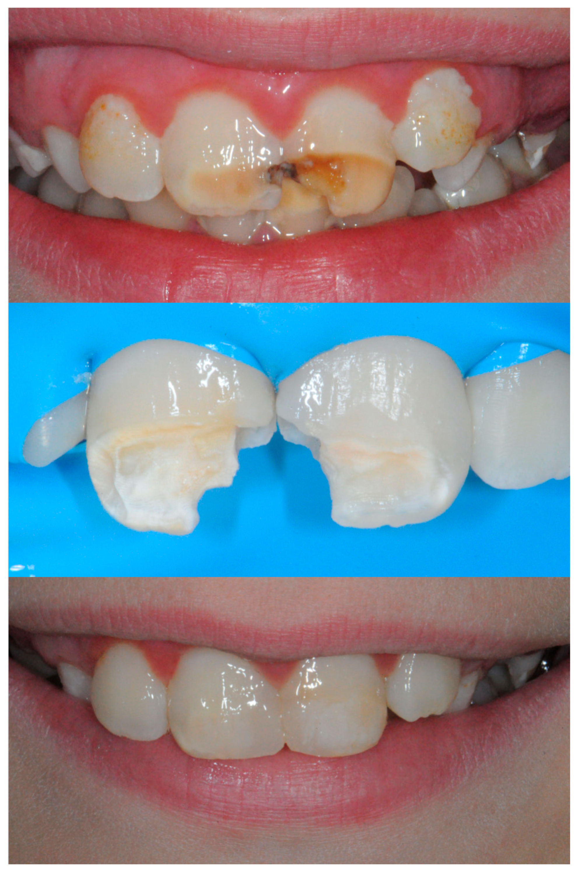 Applsci 15 12445 g001 Applsci 15 12445 g001