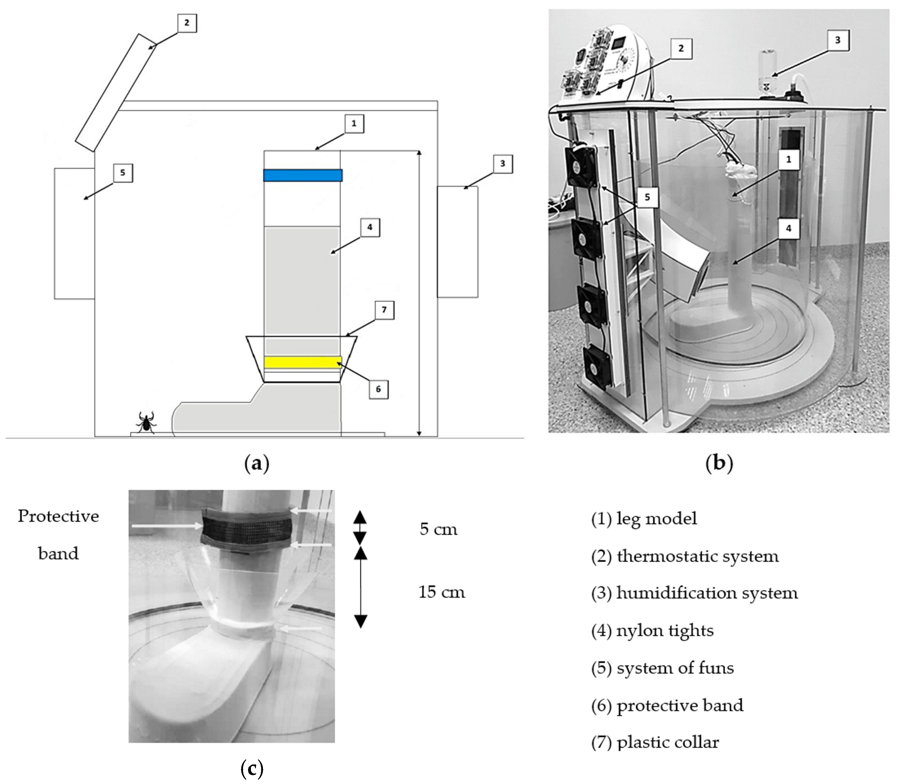 Applsci 15 12460 g005