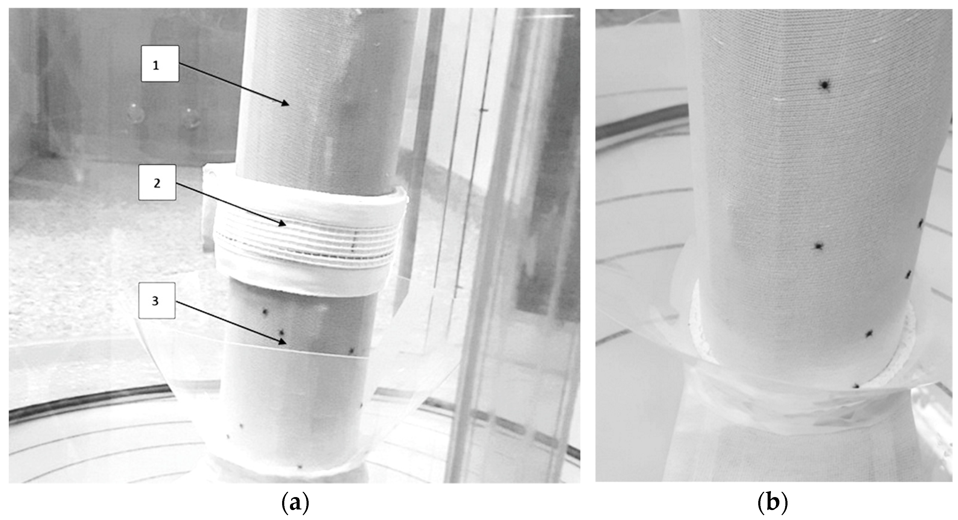 Applsci 15 12460 g006