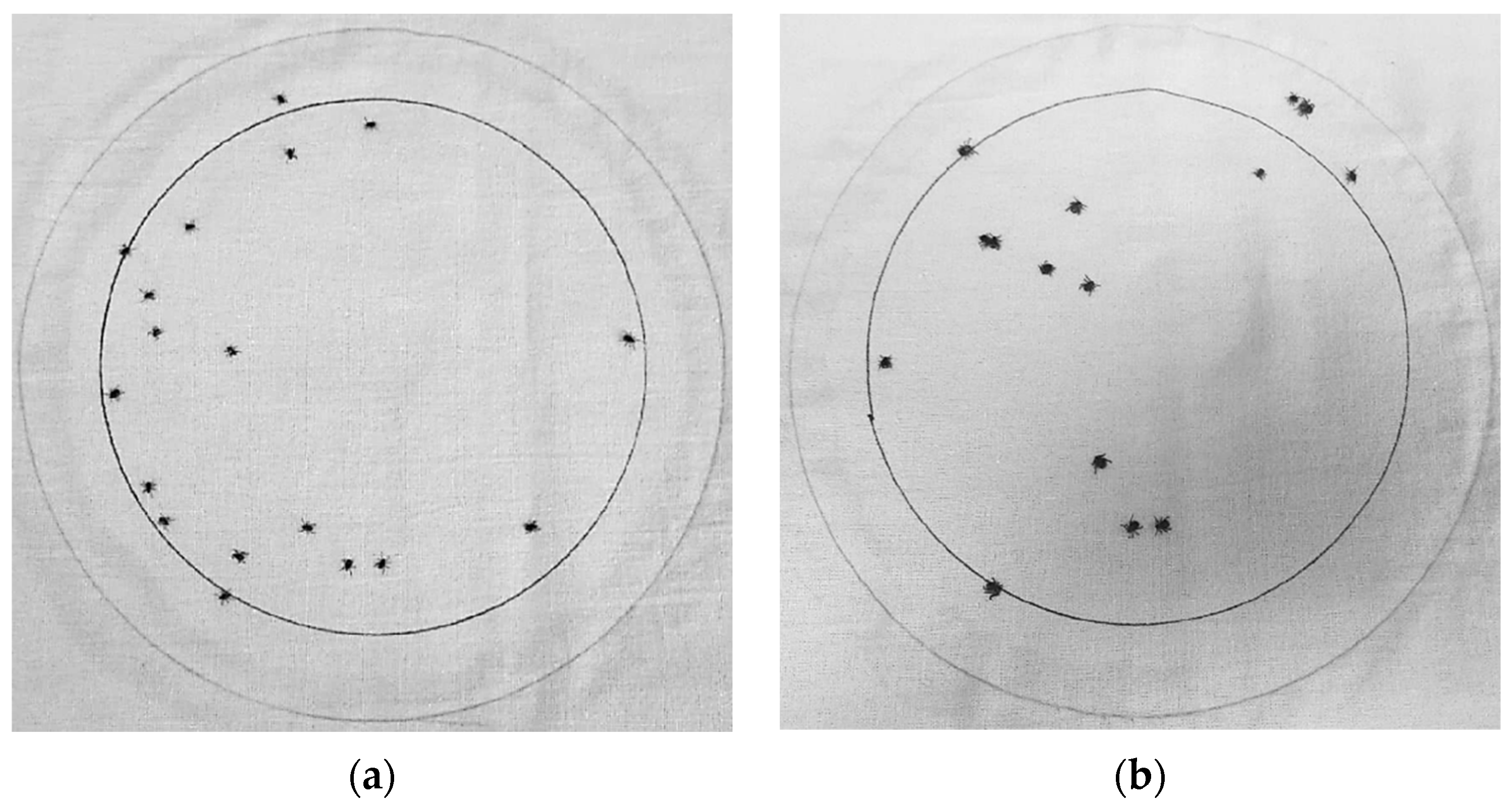 Applsci 15 12460 g008