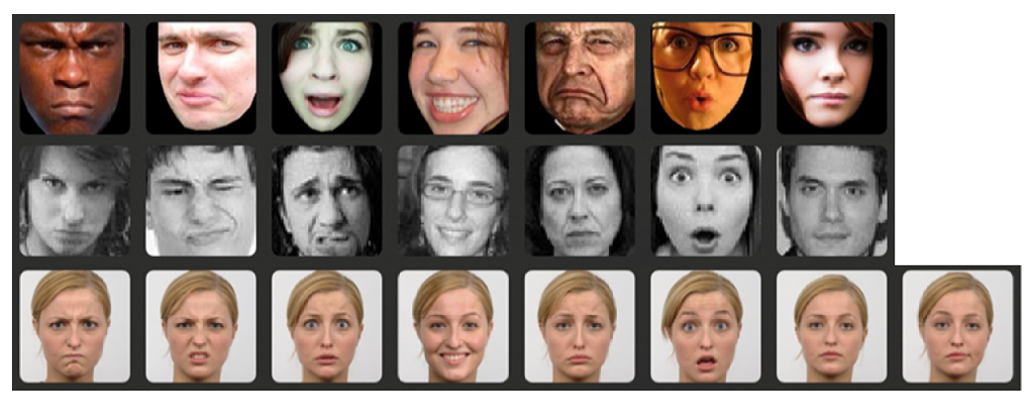 Applsci 15 12461 g001 Applsci 15 12461 g001