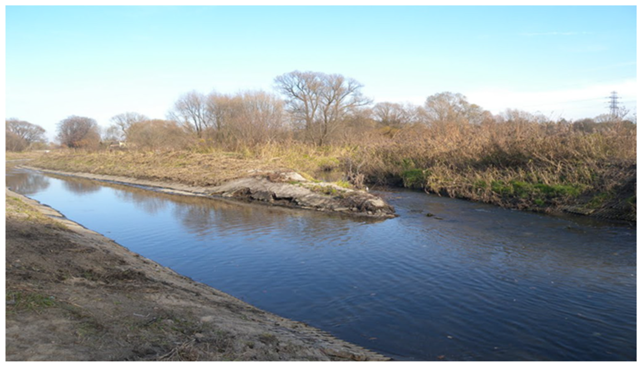 Applsci 15 12472 g001