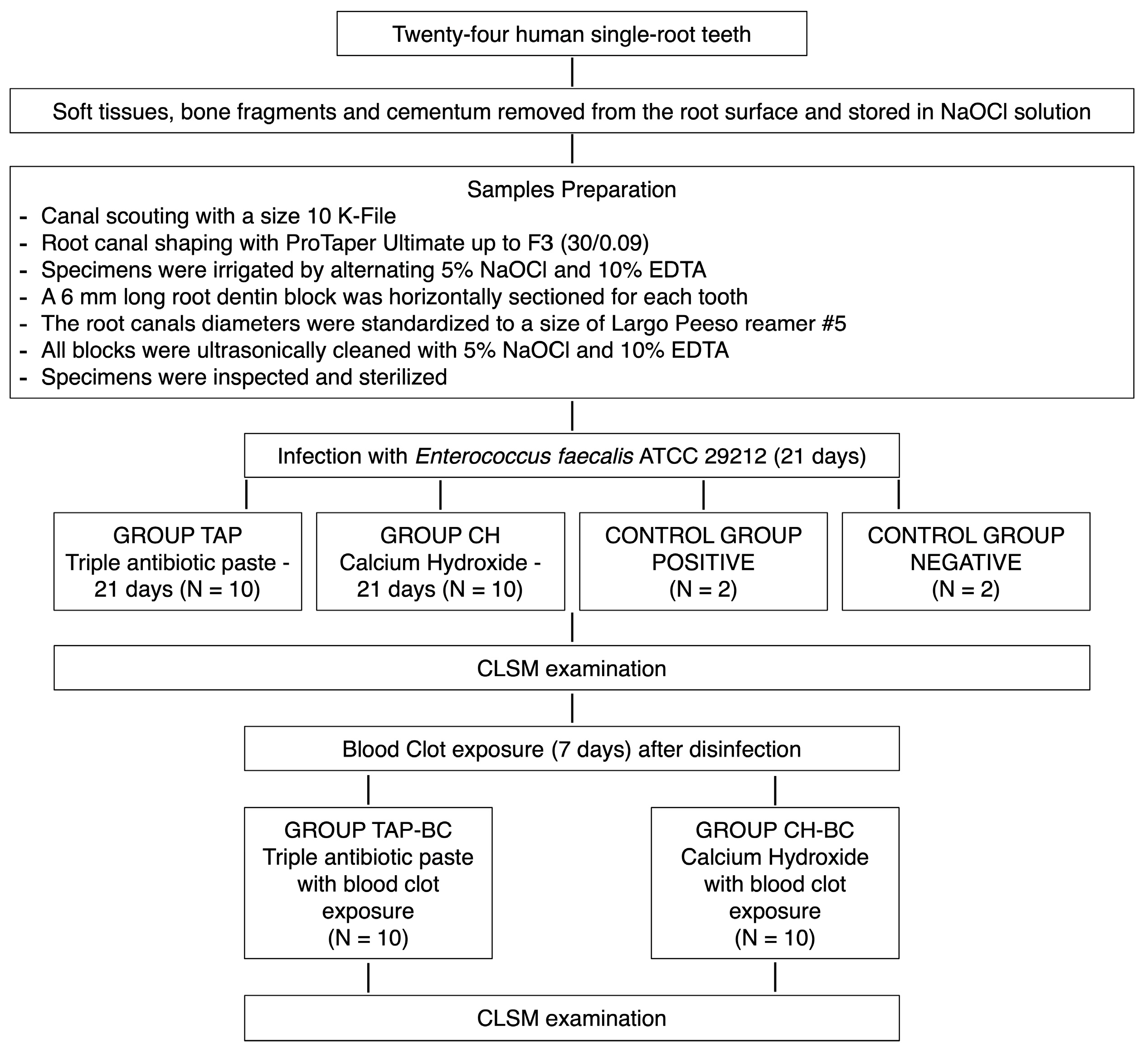 Applsci 15 12478 g001 Applsci 15 12478 g001