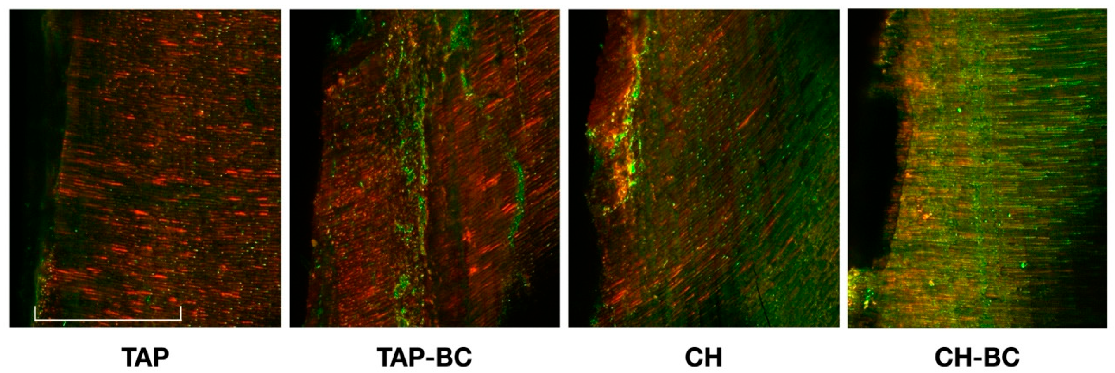 Applsci 15 12478 g003 Applsci 15 12478 g003