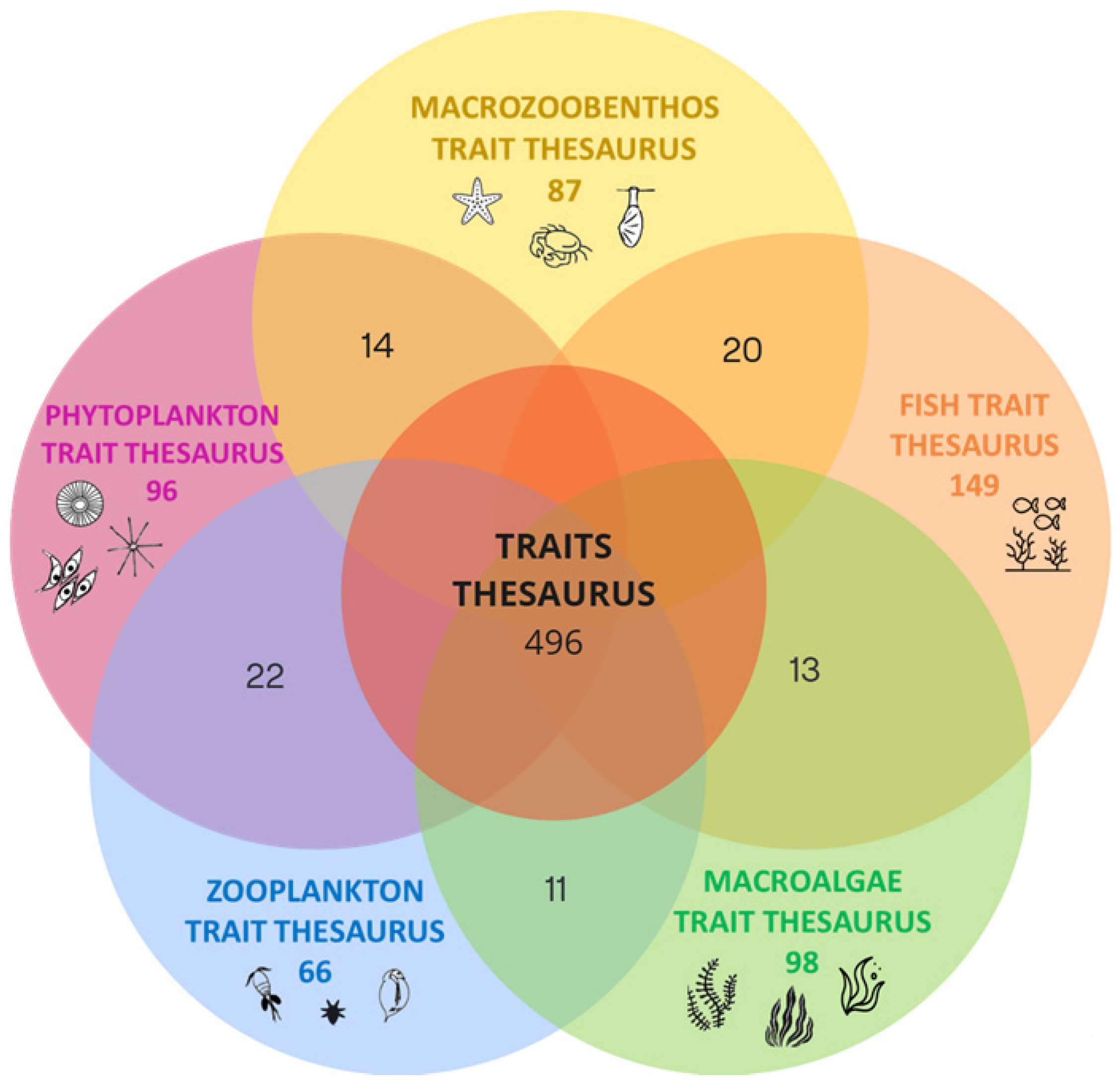 Applsci 15 12484 g002