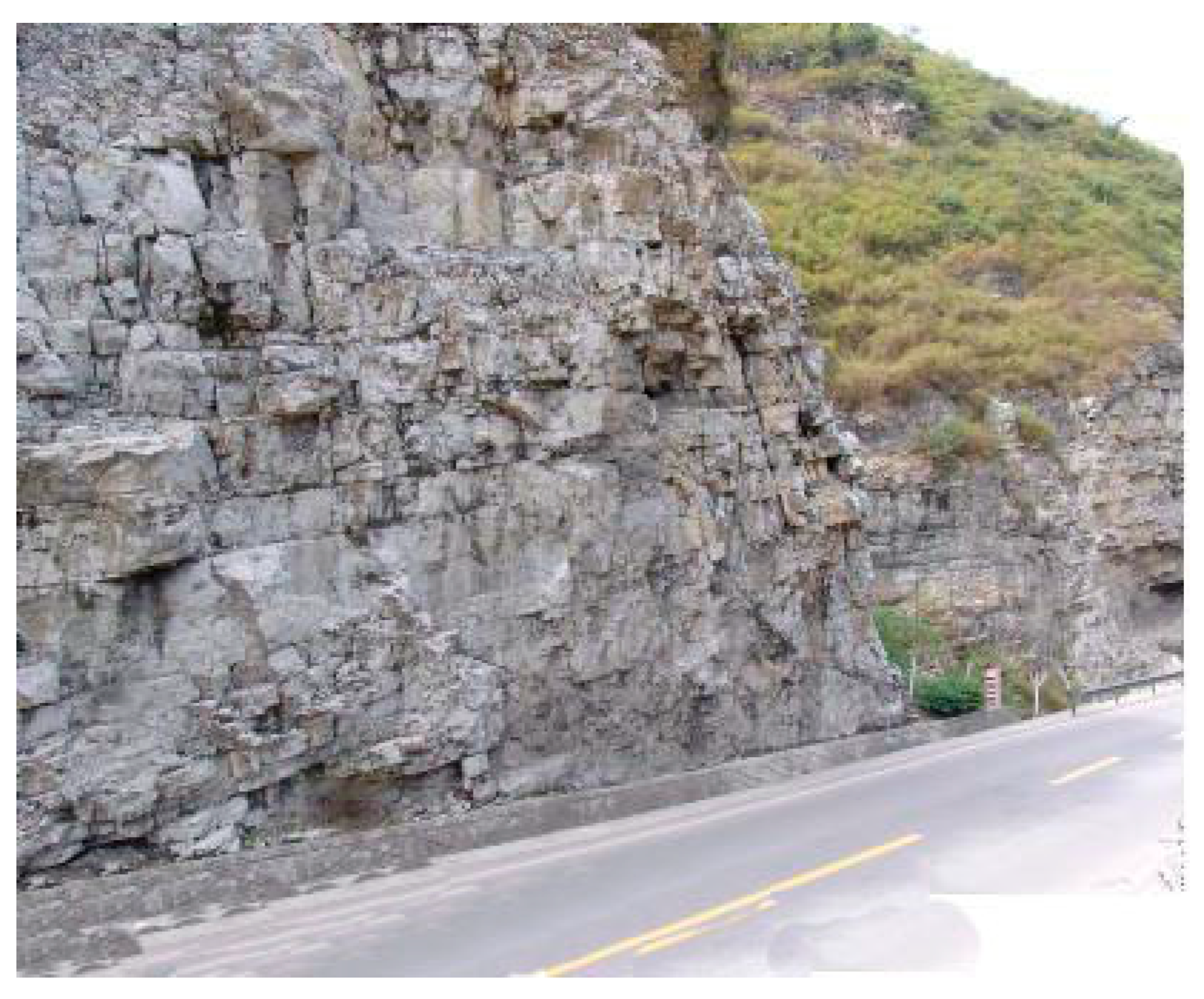 Applsci 15 12485 g001