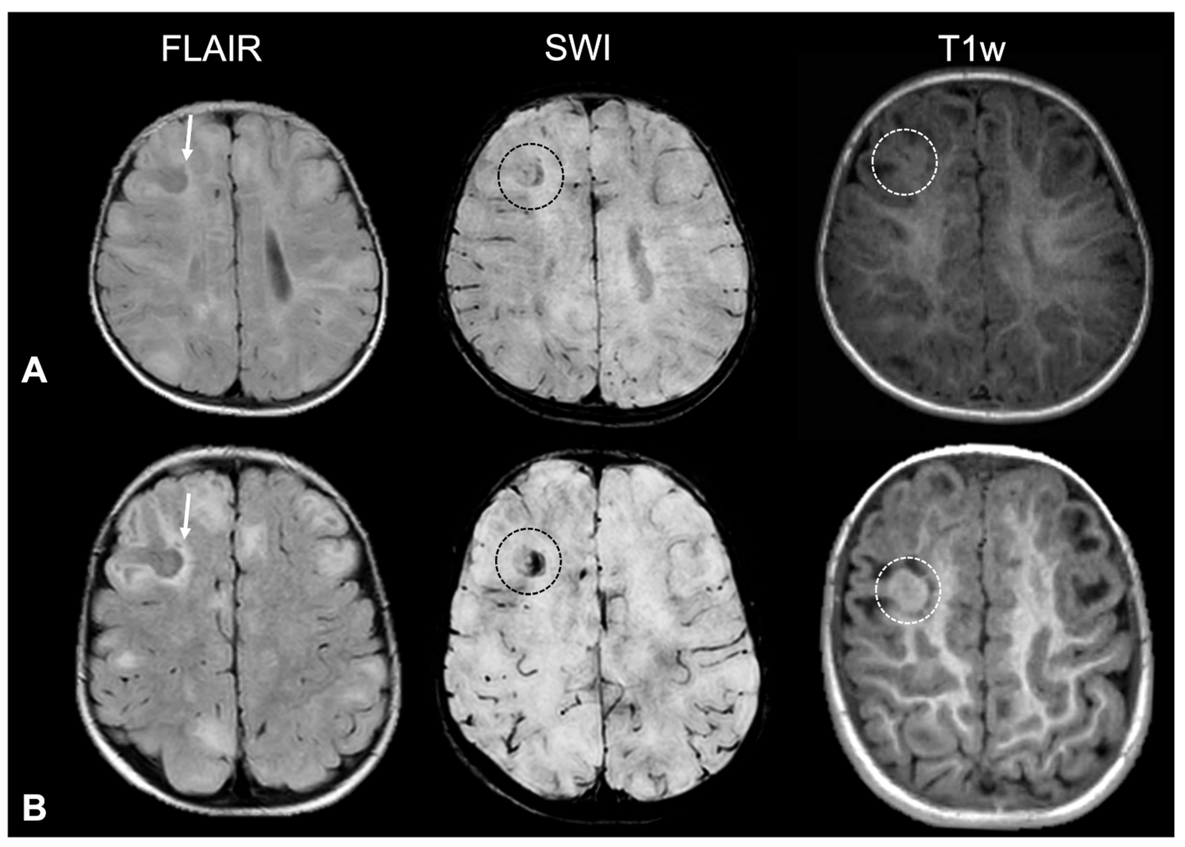 Applsci 15 12486 g001 Applsci 15 12486 g001