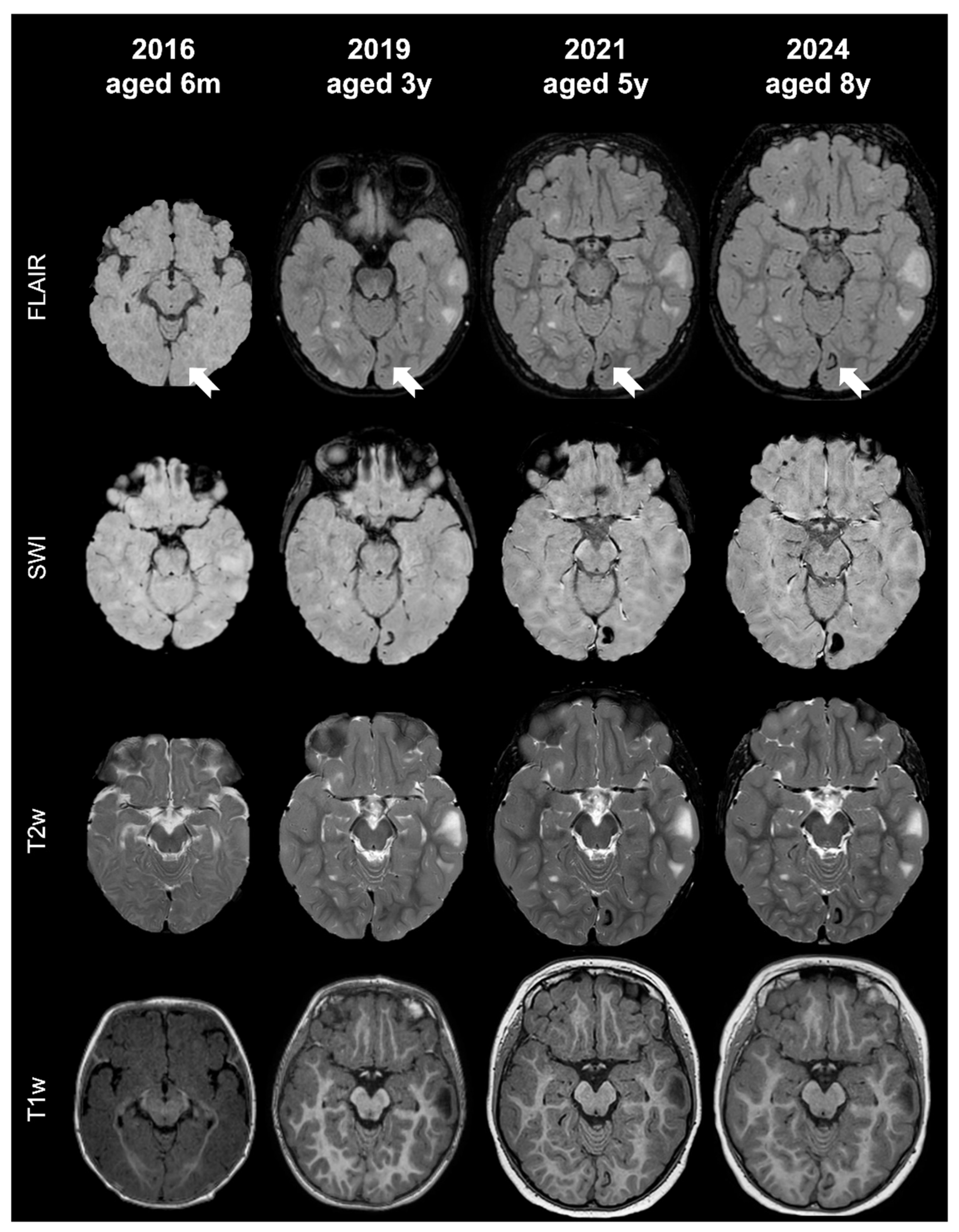 Applsci 15 12486 g002 Applsci 15 12486 g002