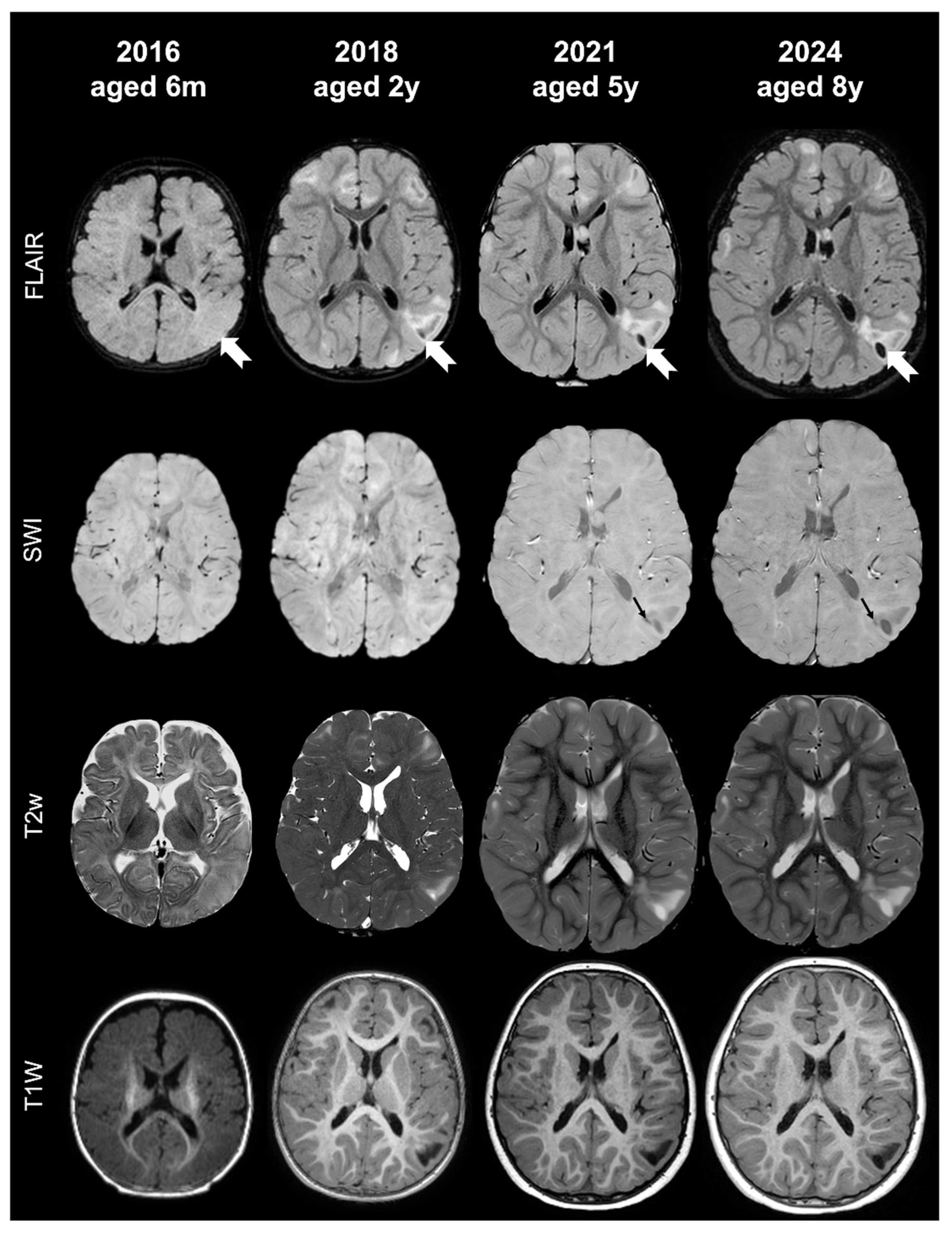 Applsci 15 12486 g003 Applsci 15 12486 g003