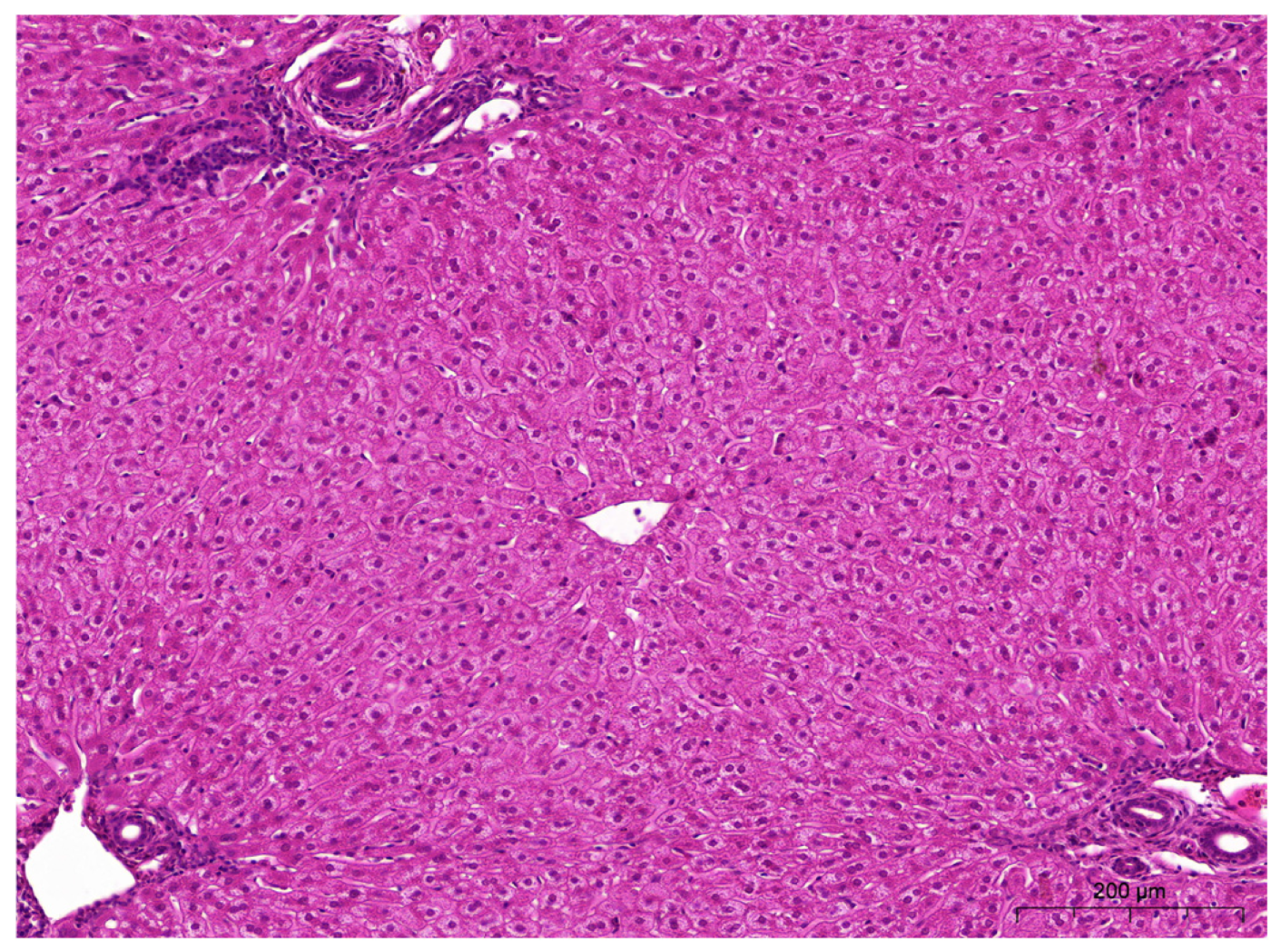 Applsci 15 12515 g002