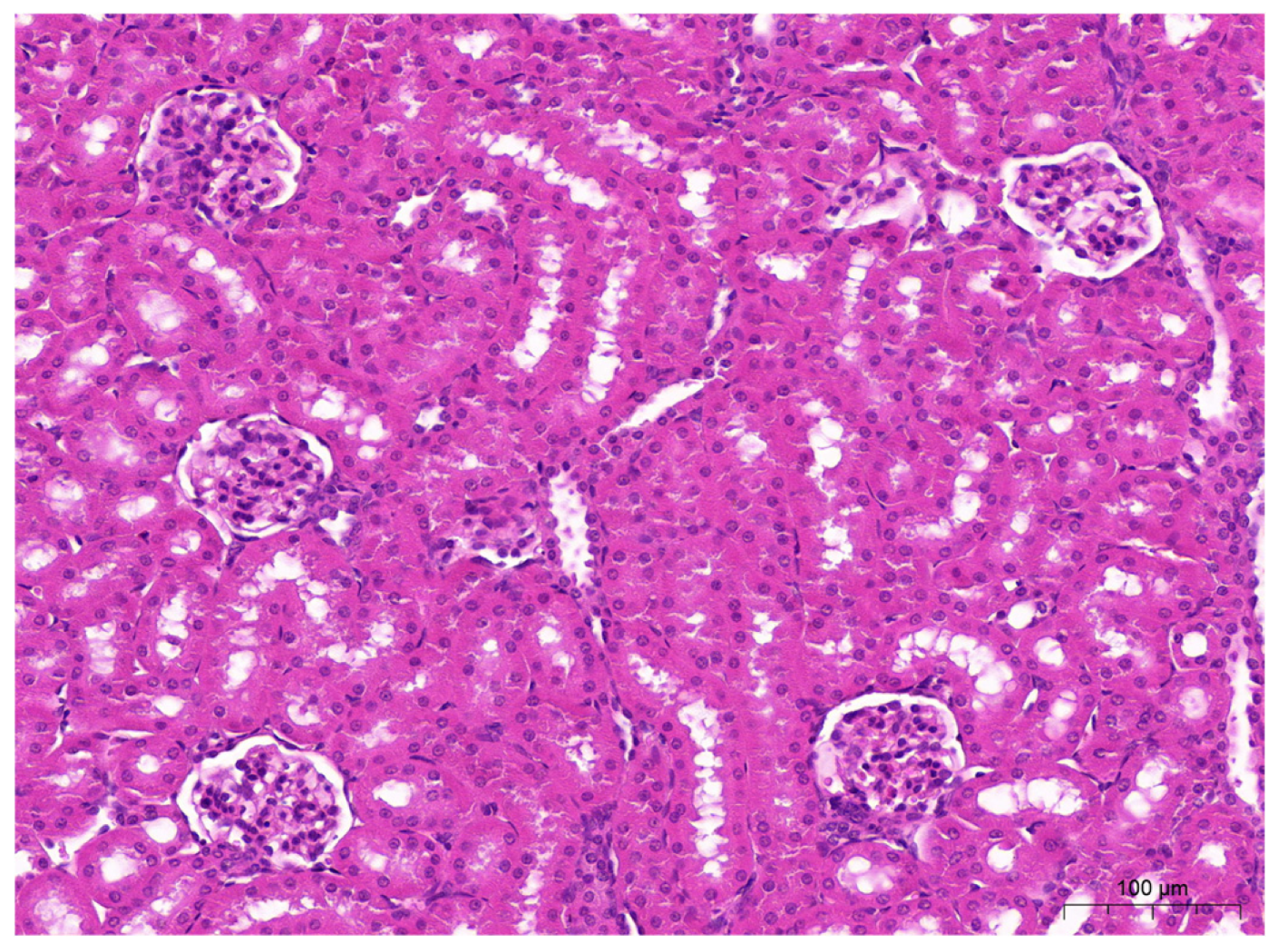 Applsci 15 12515 g003