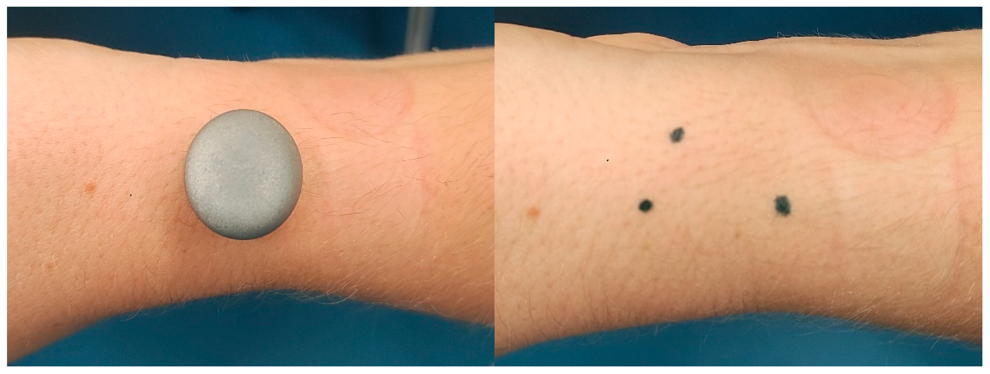 Applsci 15 12526 g002 Applsci 15 12526 g002