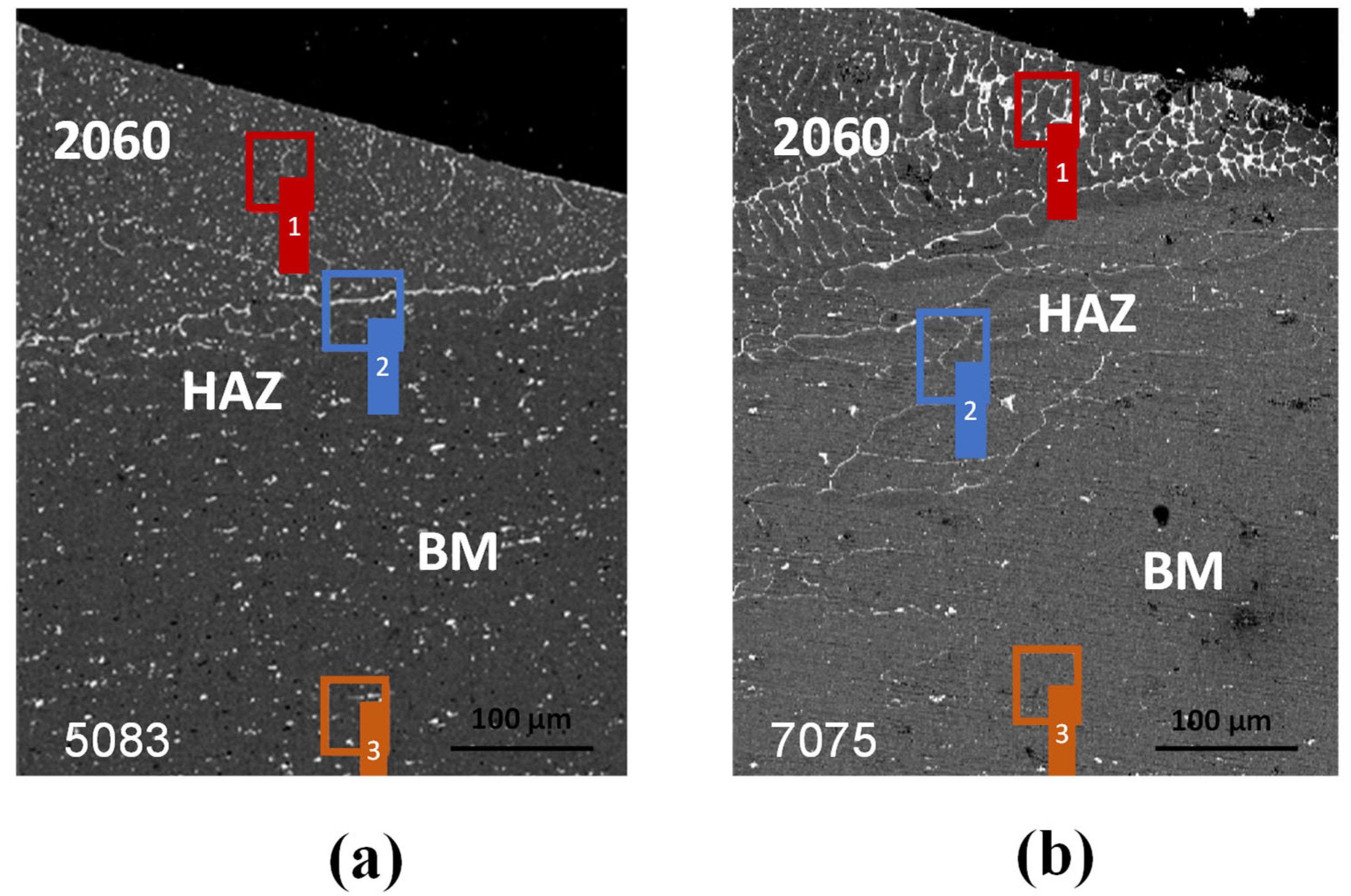 Applsci 15 12527 g005