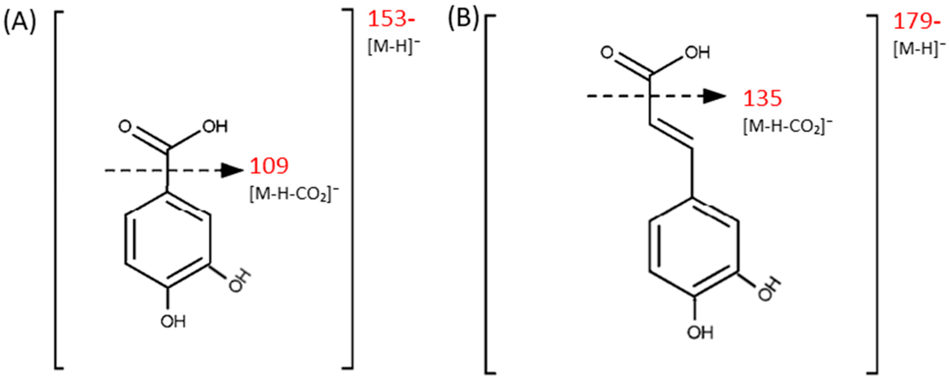 Applsci 15 12529 g001