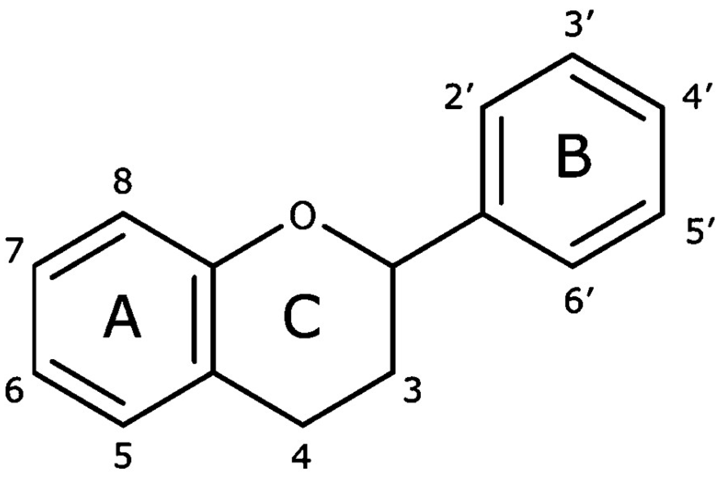 Applsci 15 12529 g002
