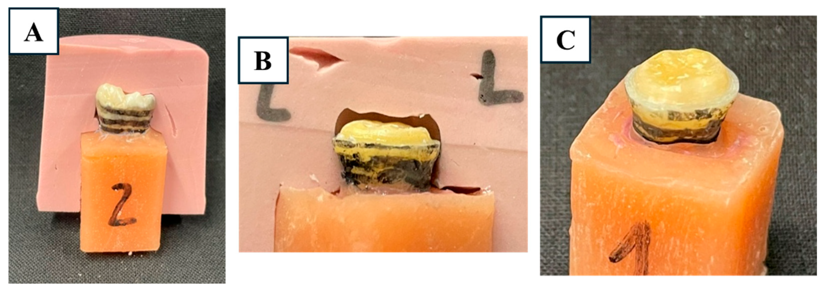 Applsci 15 12532 g002