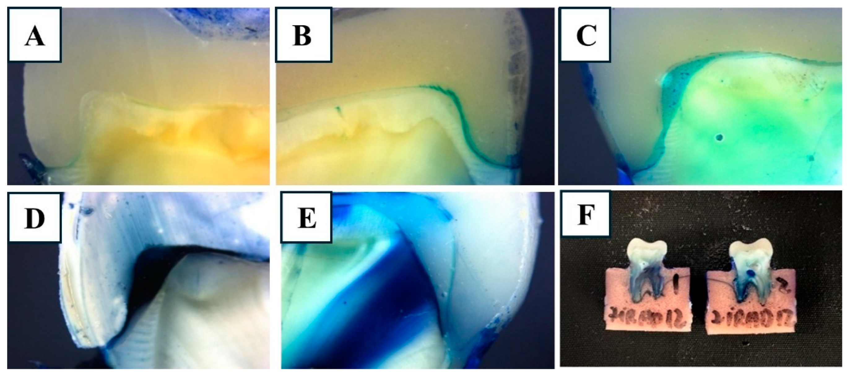 Applsci 15 12532 g008