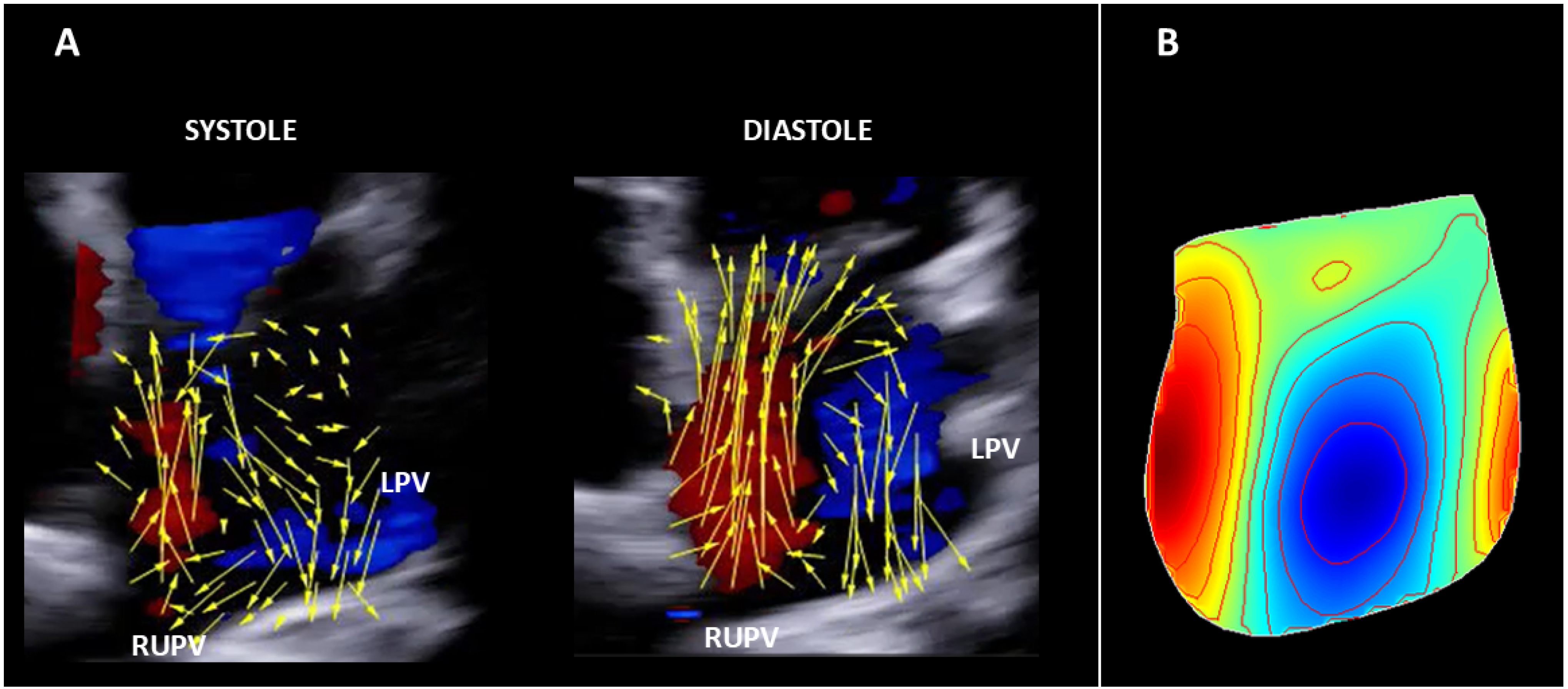 Applsci 15 12548 g001 Applsci 15 12548 g001