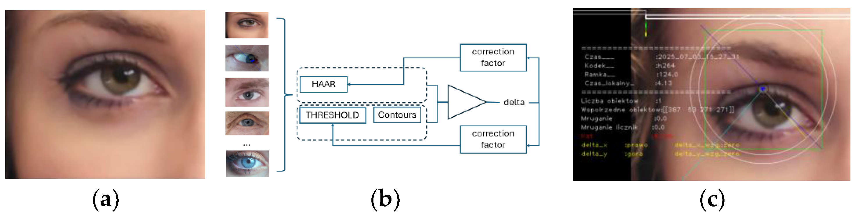 Applsci 15 12573 g019