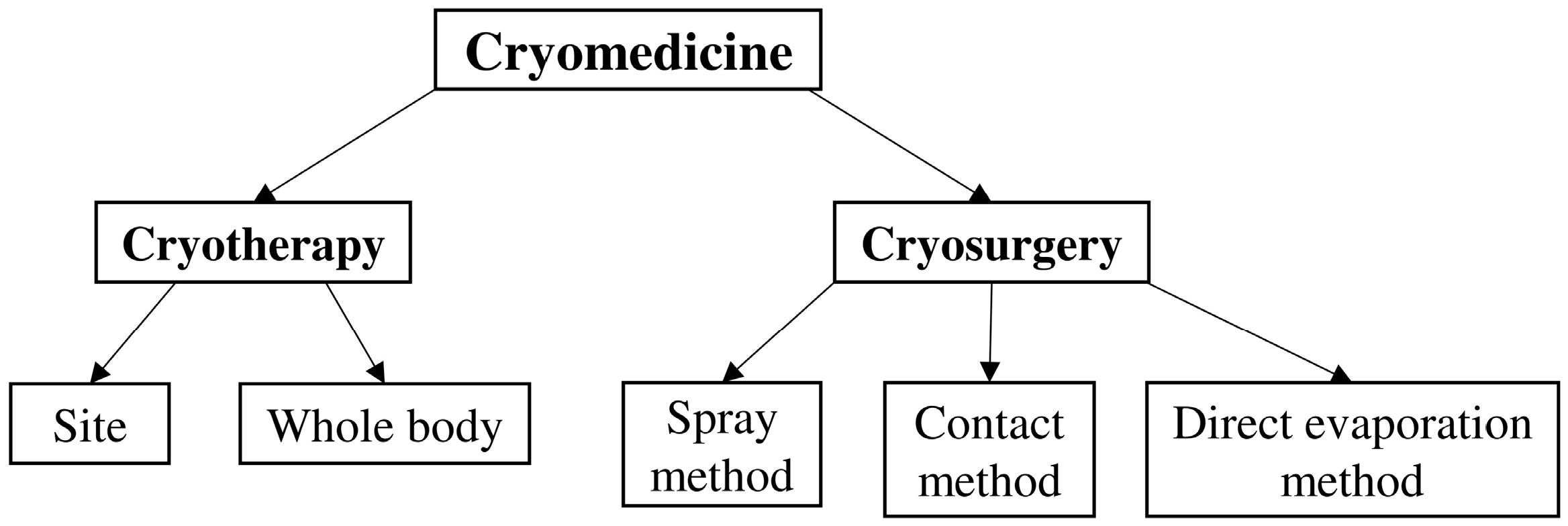 Applsci 15 12579 g001