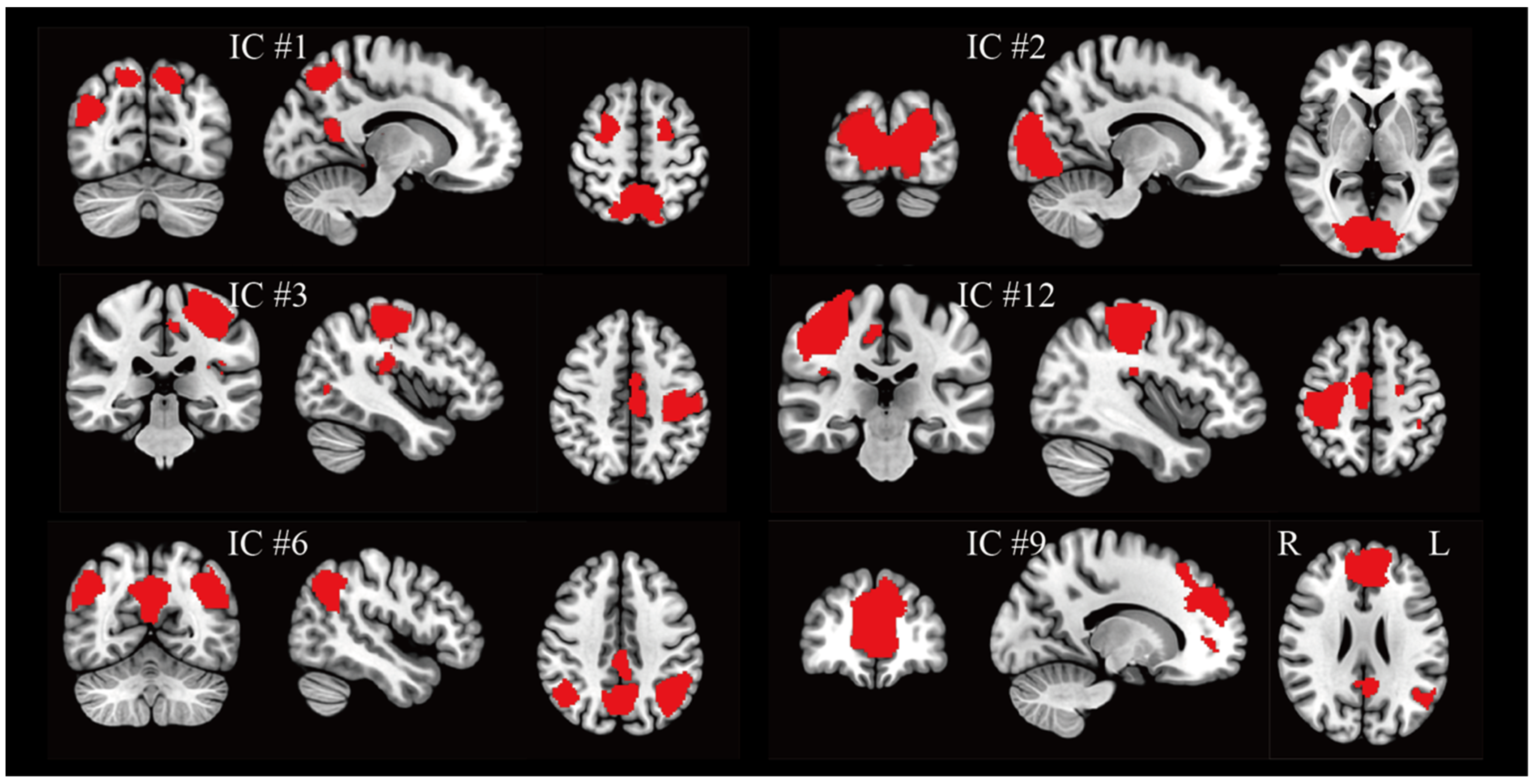 Applsci 15 12583 g002