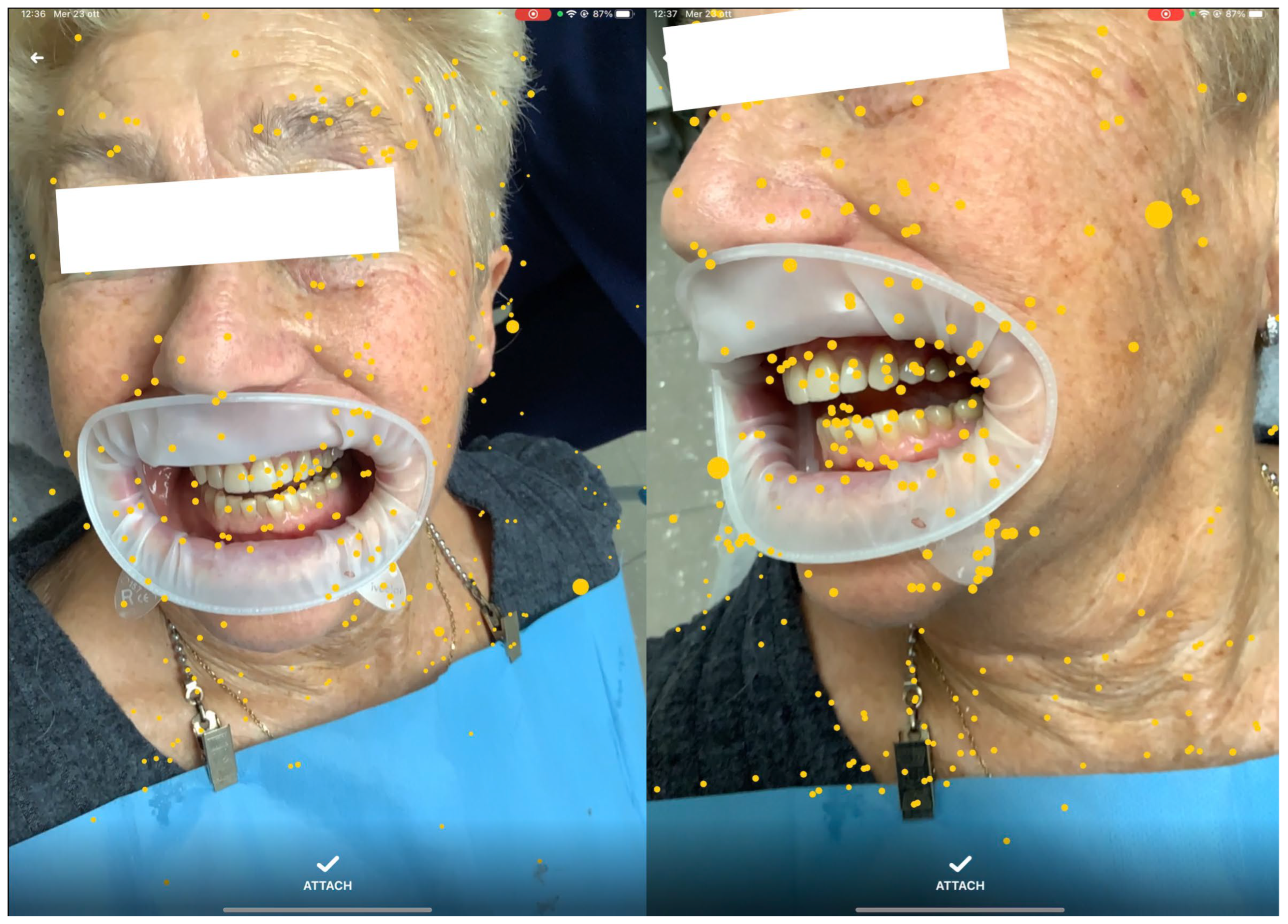 Applsci 15 12588 g001