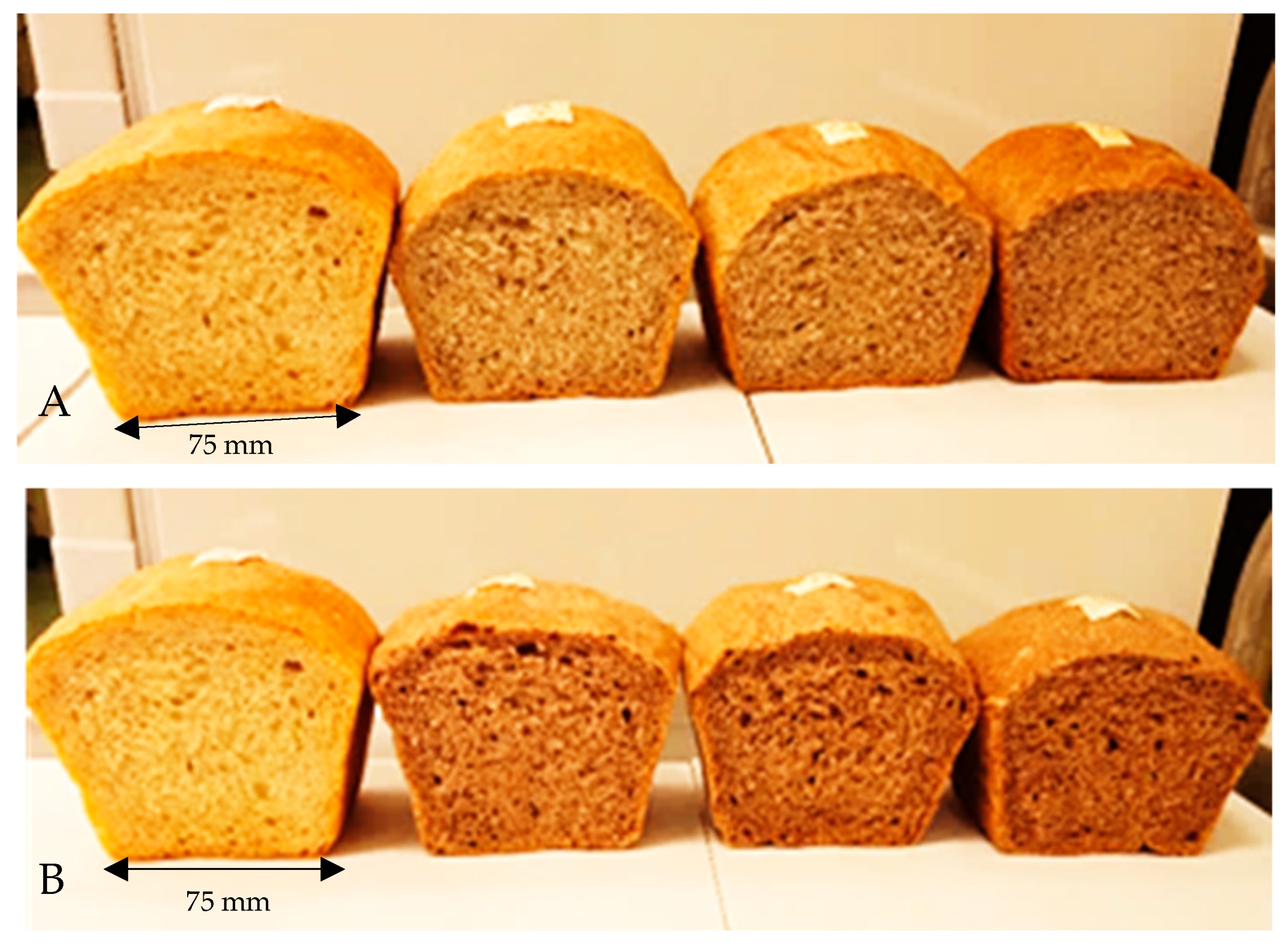 Applsci 15 12591 g002