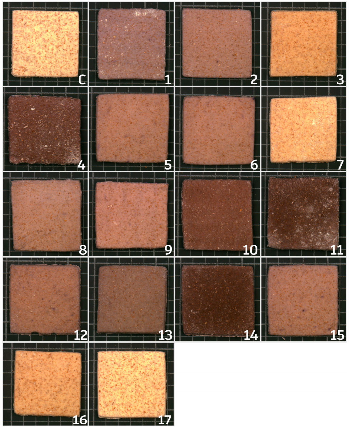 Applsci 15 12610 g001