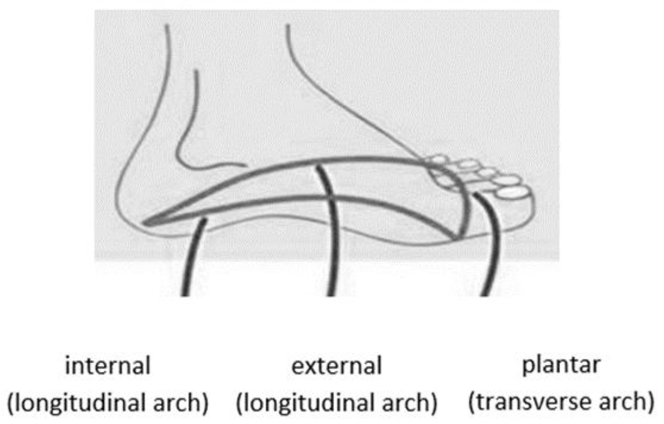 Applsci 15 12635 g001