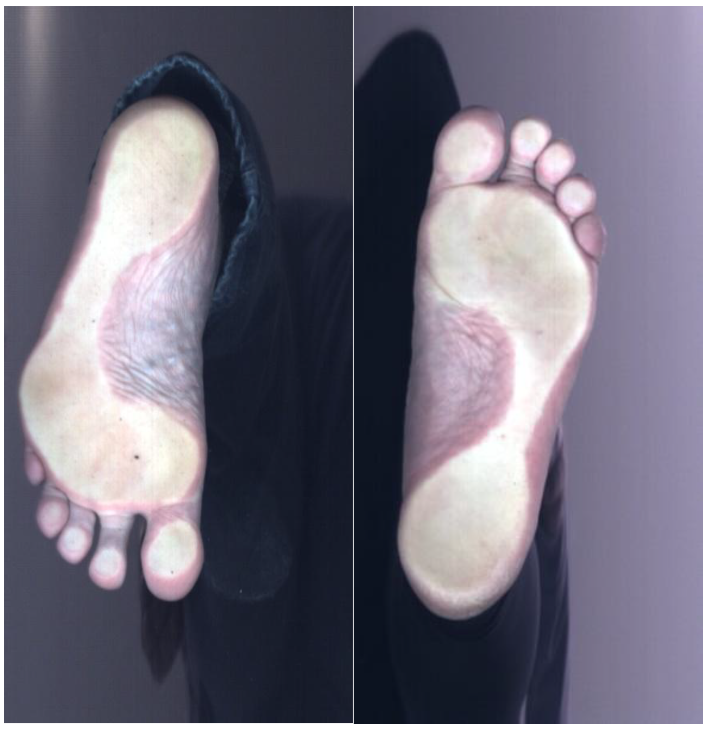 Applsci 15 12635 g004