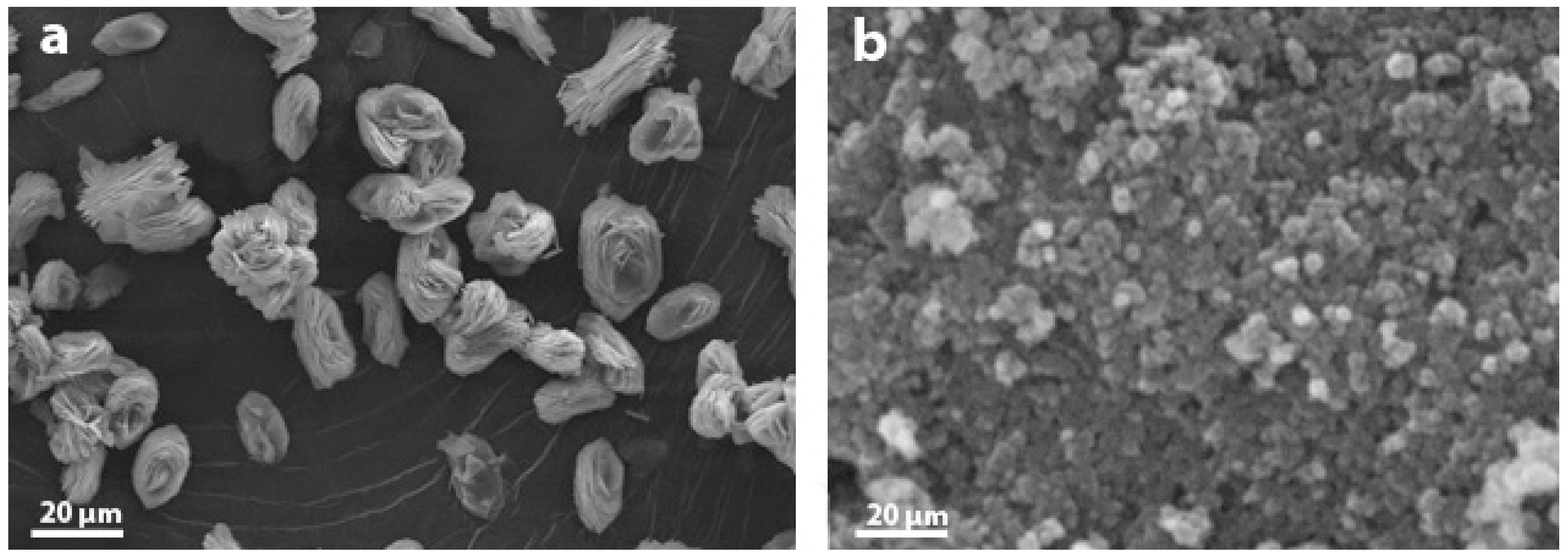 Applsci 15 12640 g001